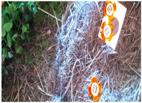 Remotesensing 17 00689 i016