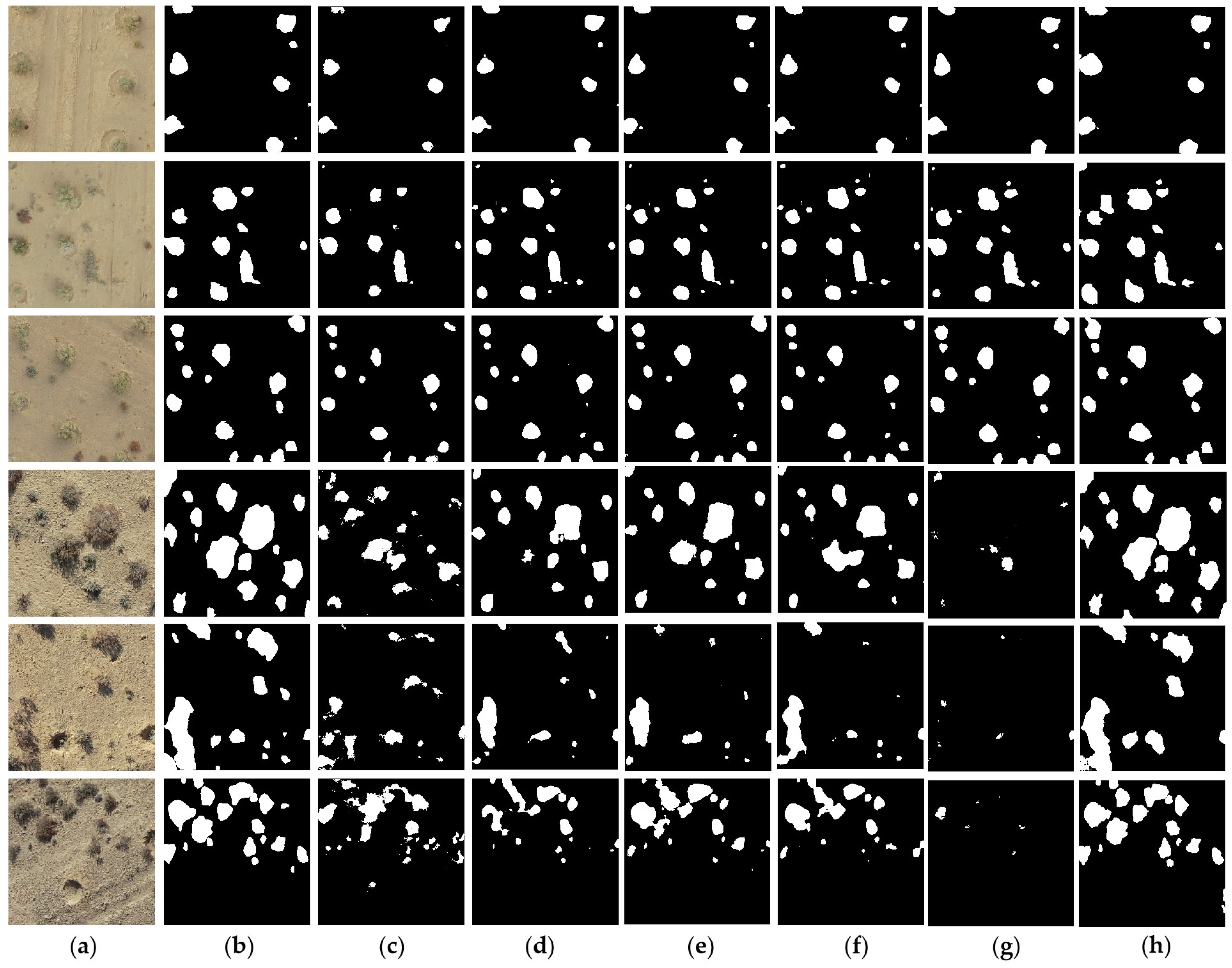 Remotesensing 17 00691 g005