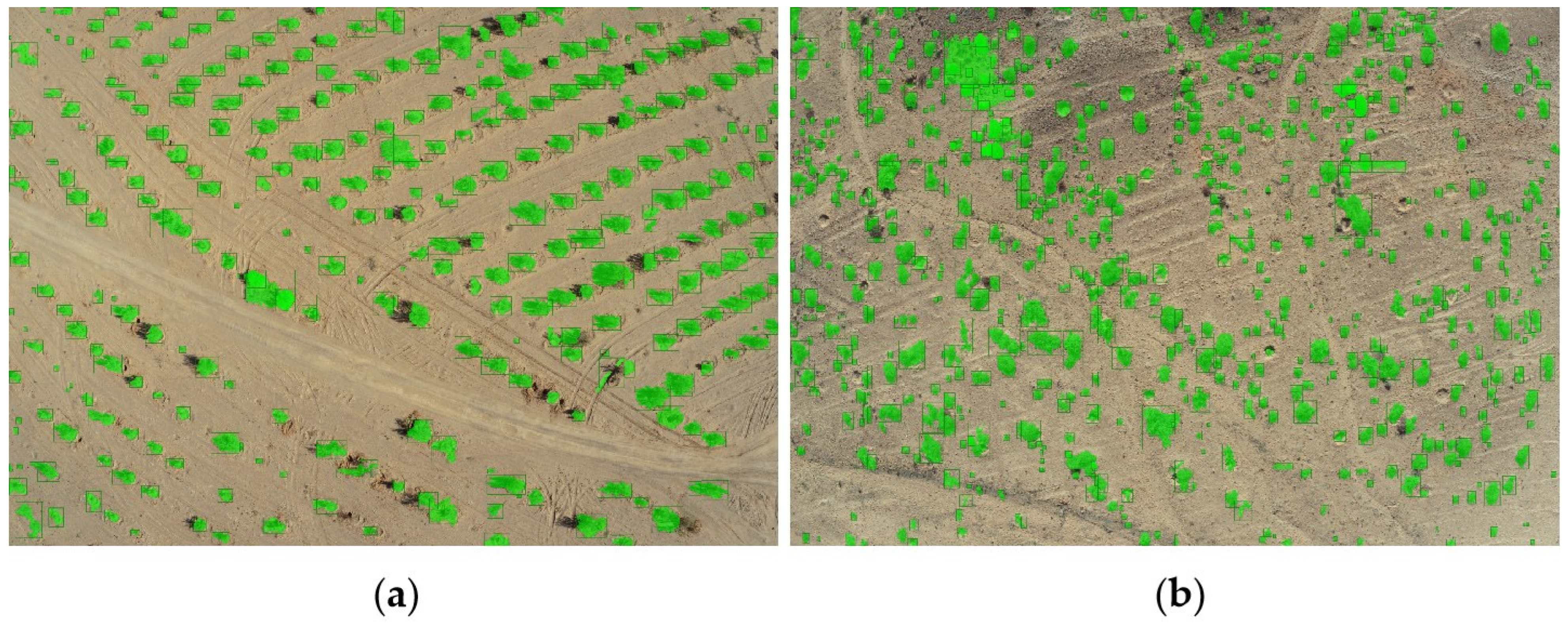 Remotesensing 17 00691 g009