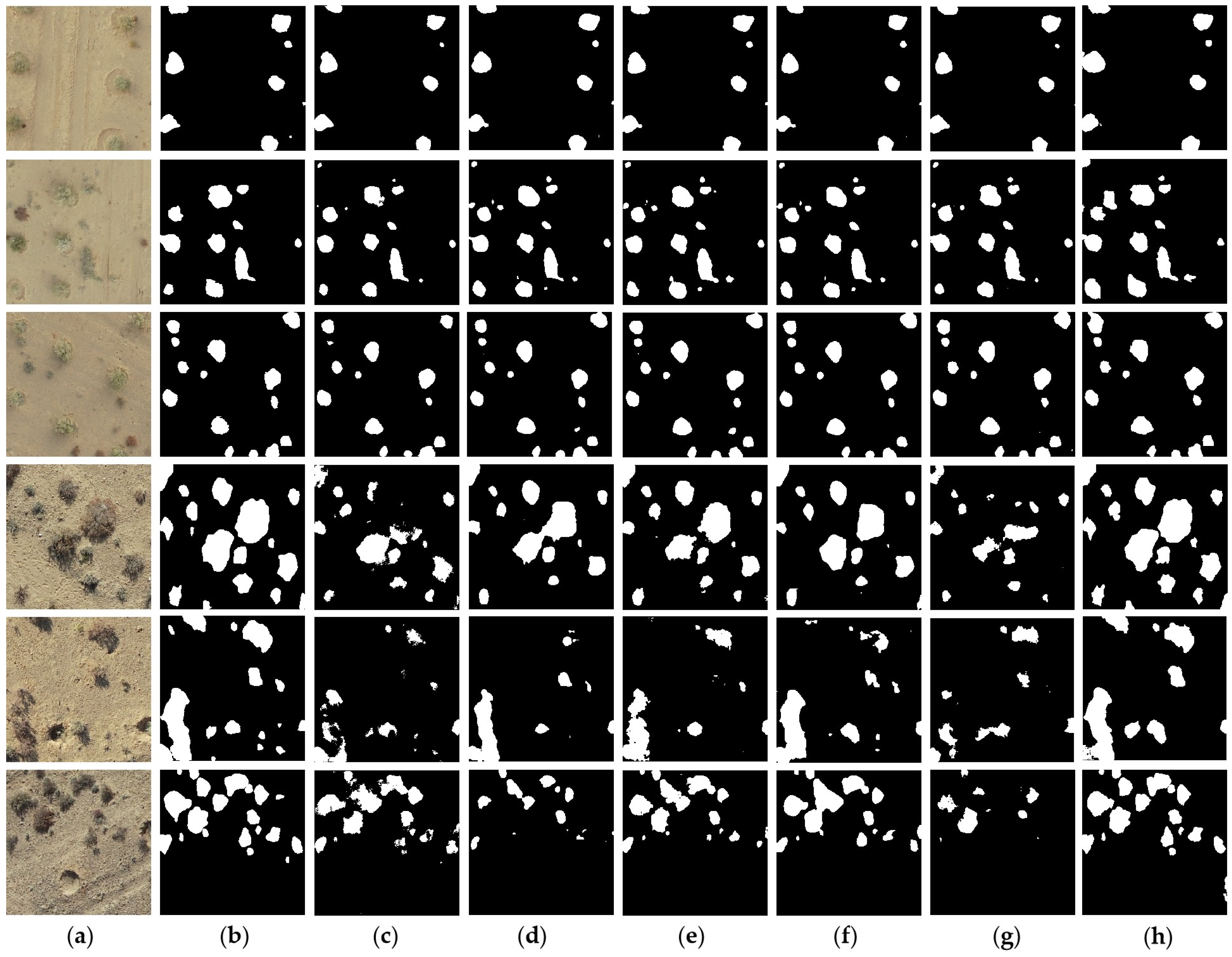 Remotesensing 17 00691 g010