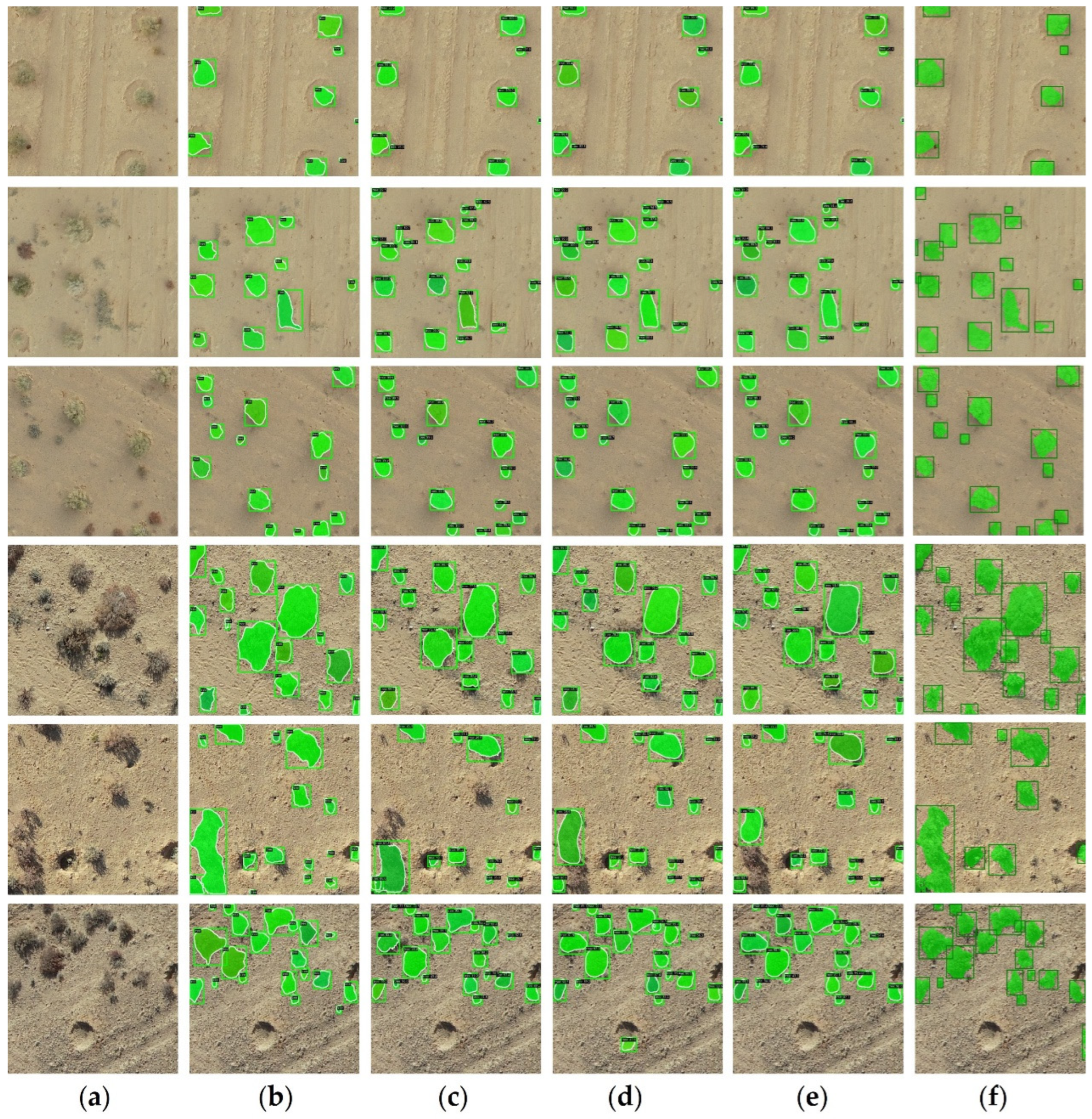 Remotesensing 17 00691 g011