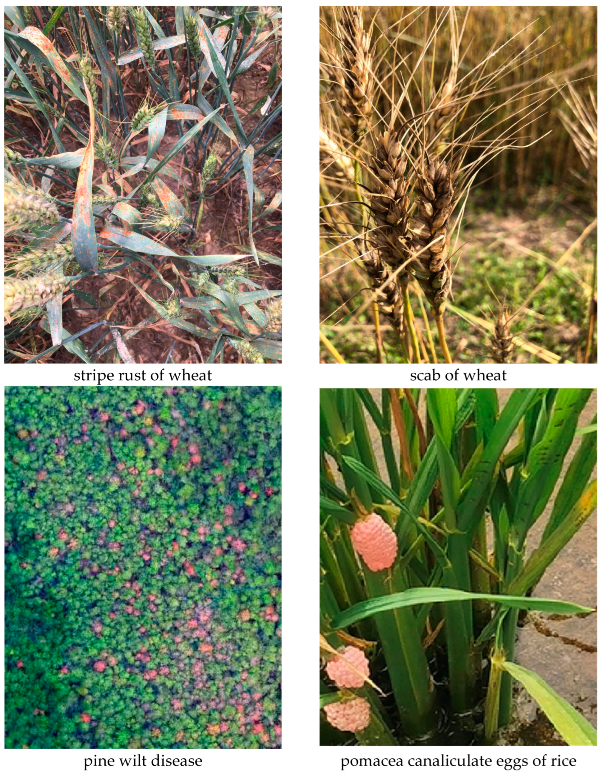 Remotesensing 17 00698 g002