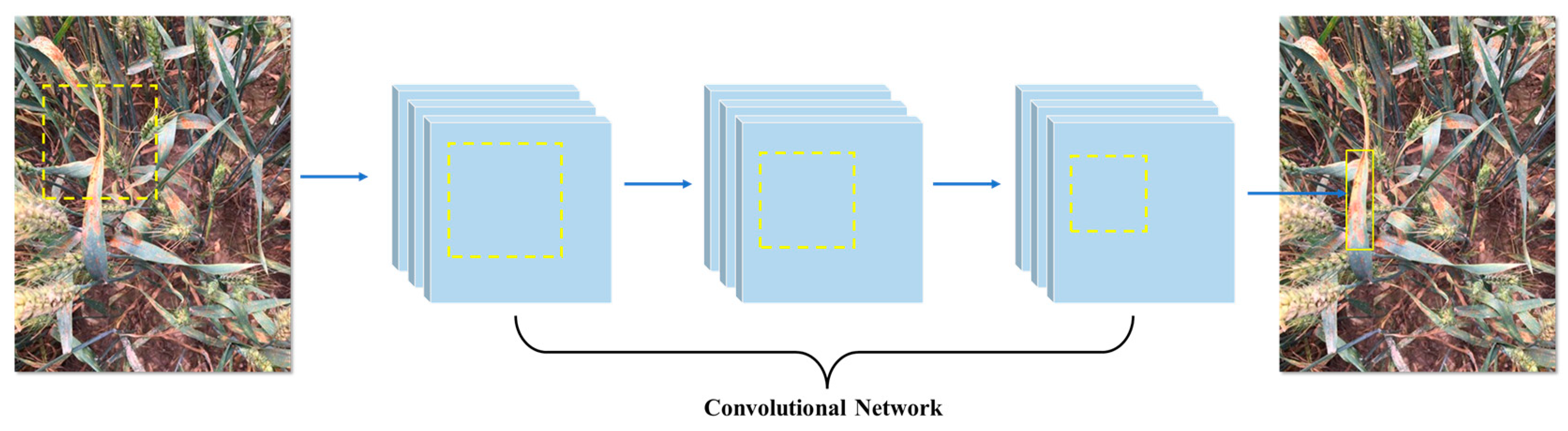 Remotesensing 17 00698 g005