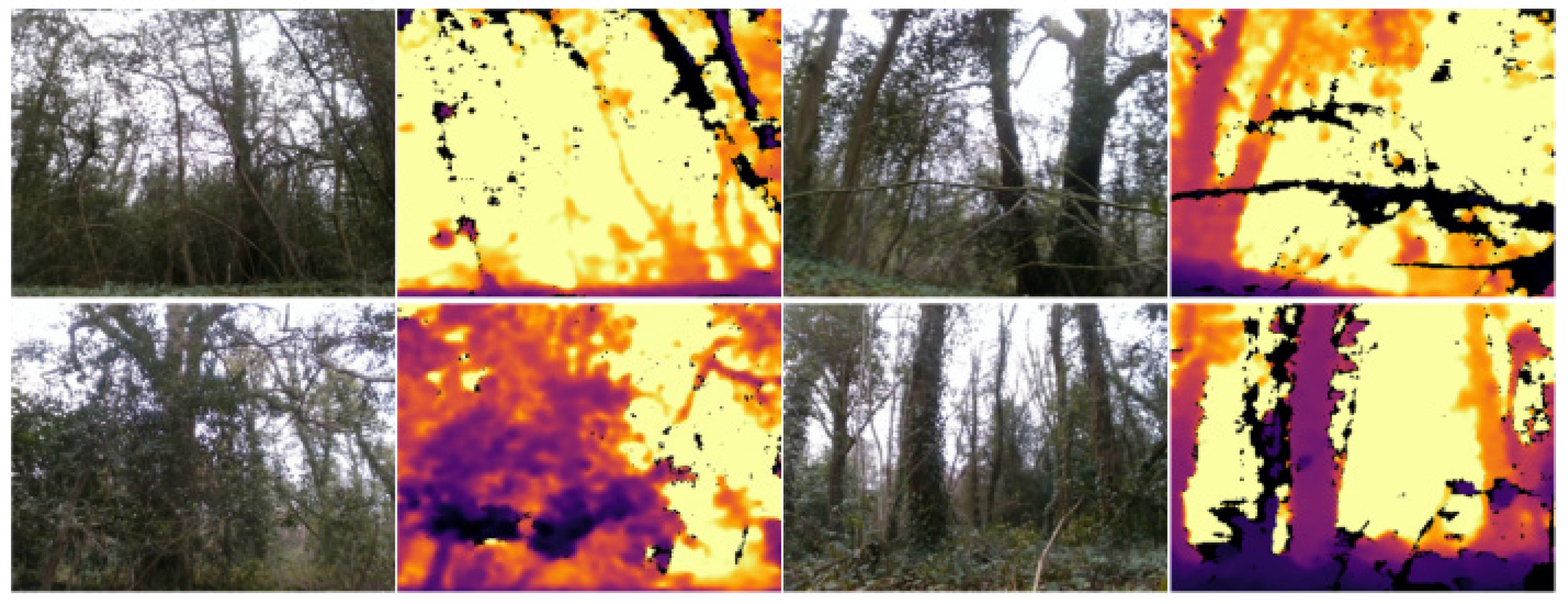 Remotesensing 17 00717 g004