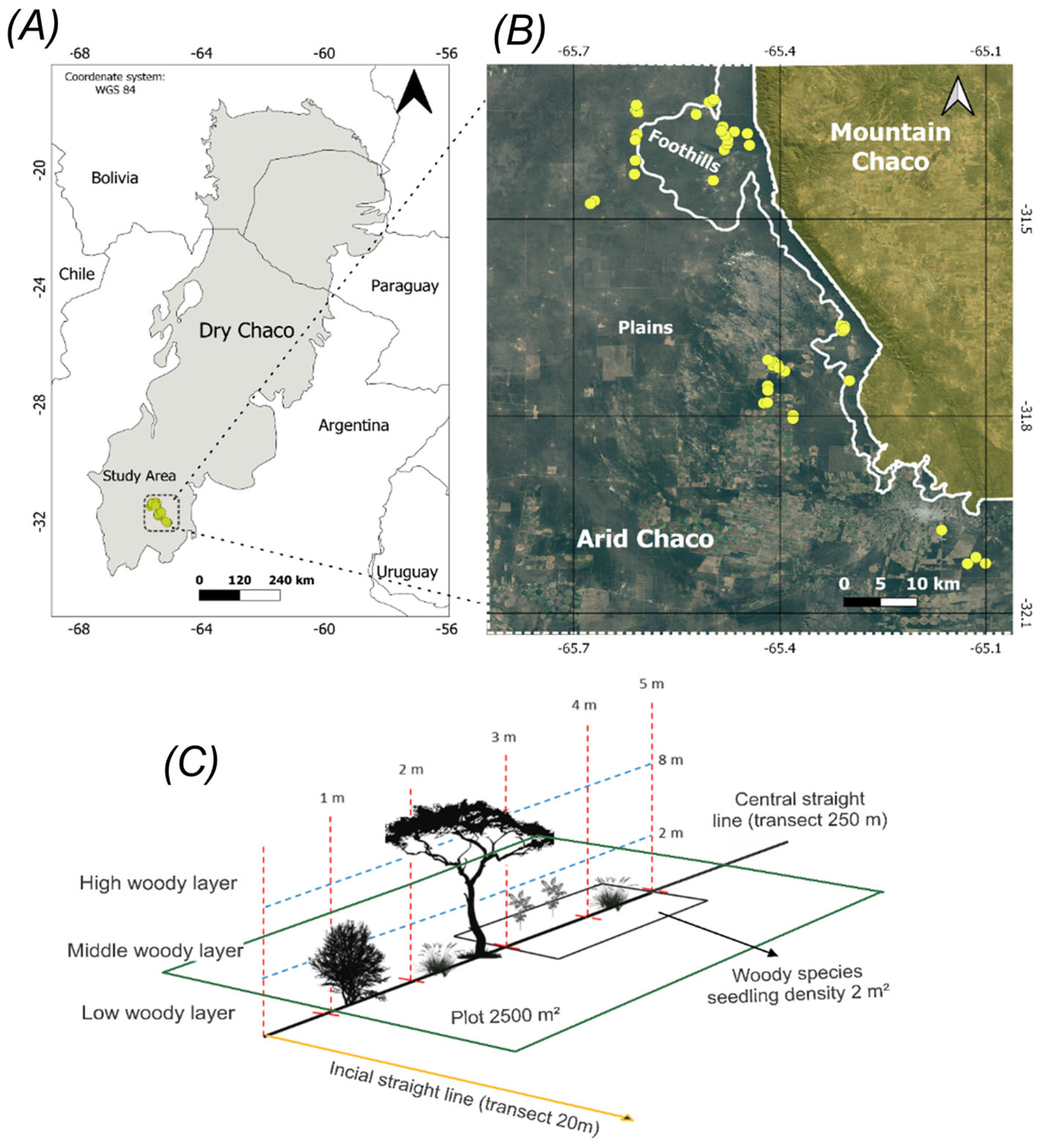 Remotesensing 17 00748 g001