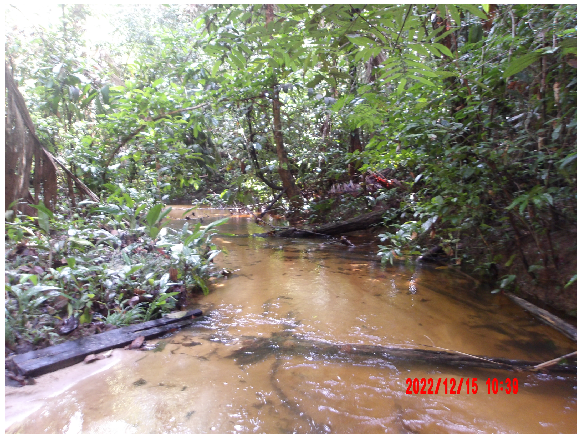 Remotesensing 17 00784 g001