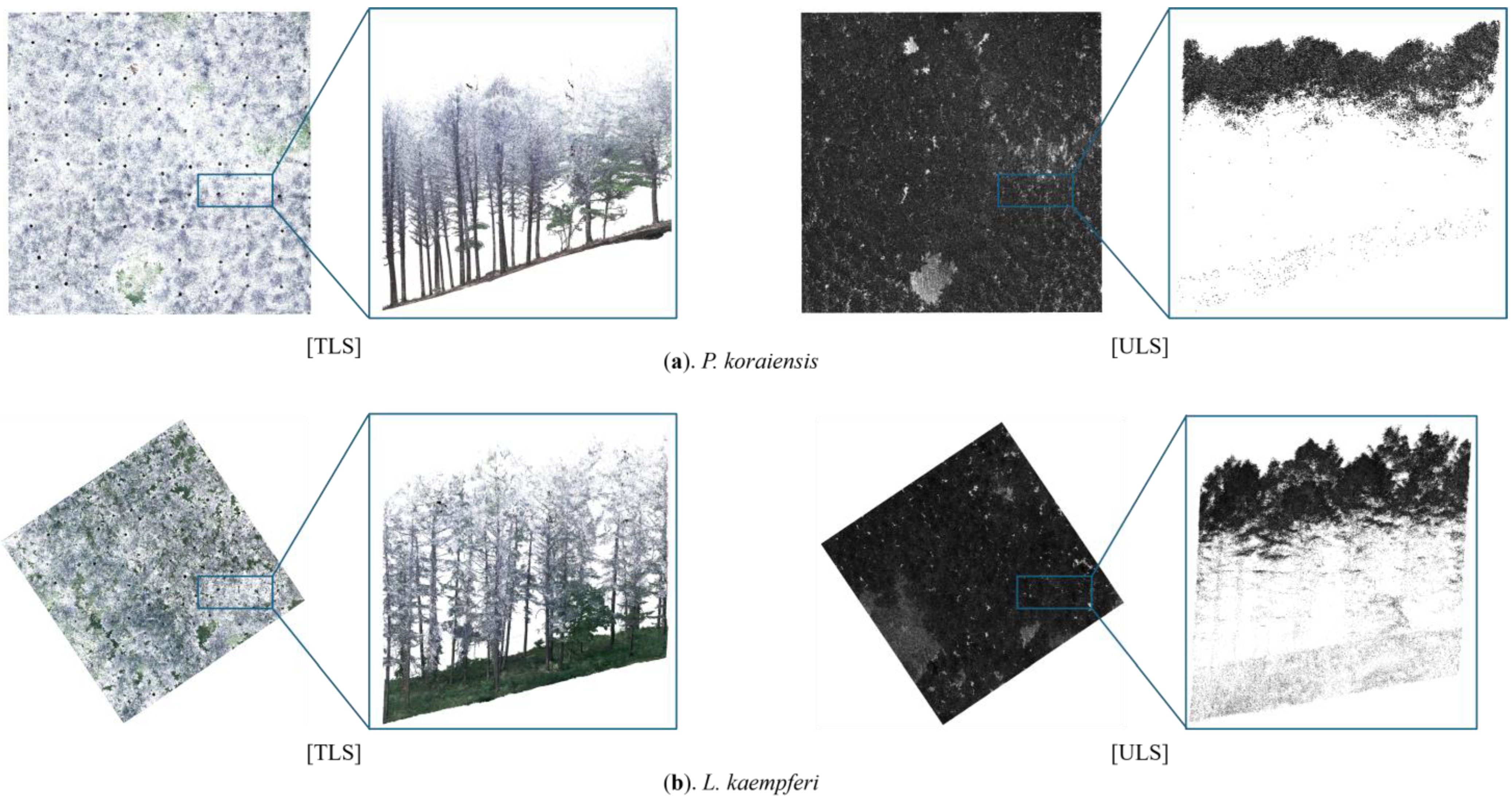 Remotesensing 17 00785 g004