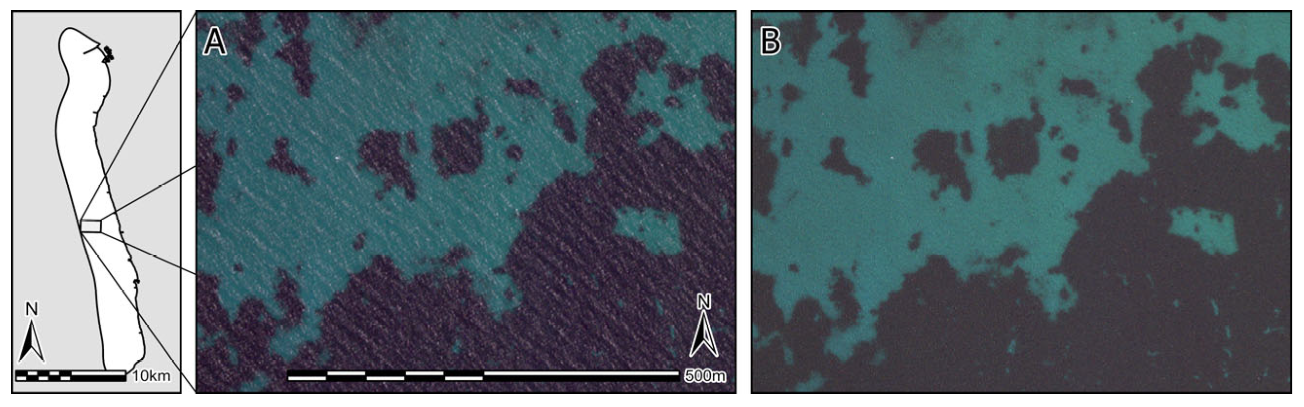 Remotesensing 17 00849 g006