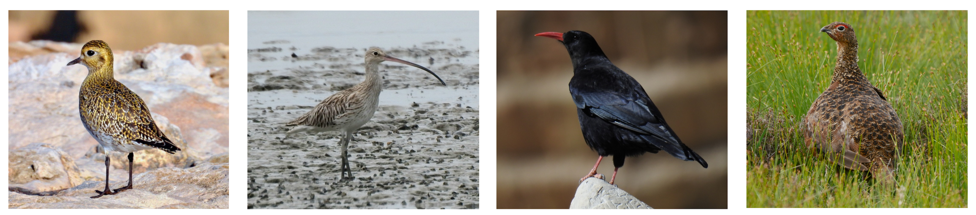 Remotesensing 17 00879 g001