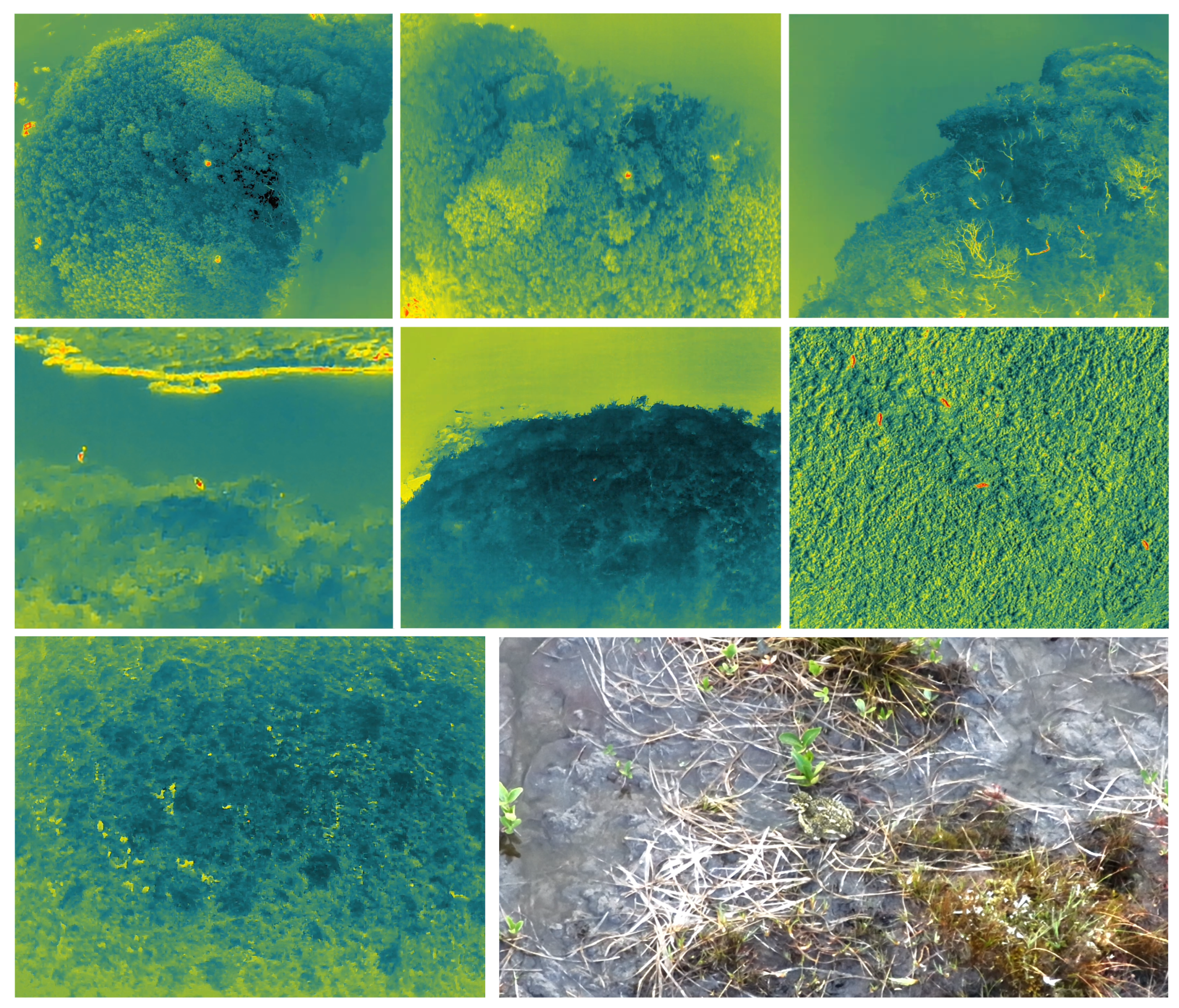 Remotesensing 17 00879 g002