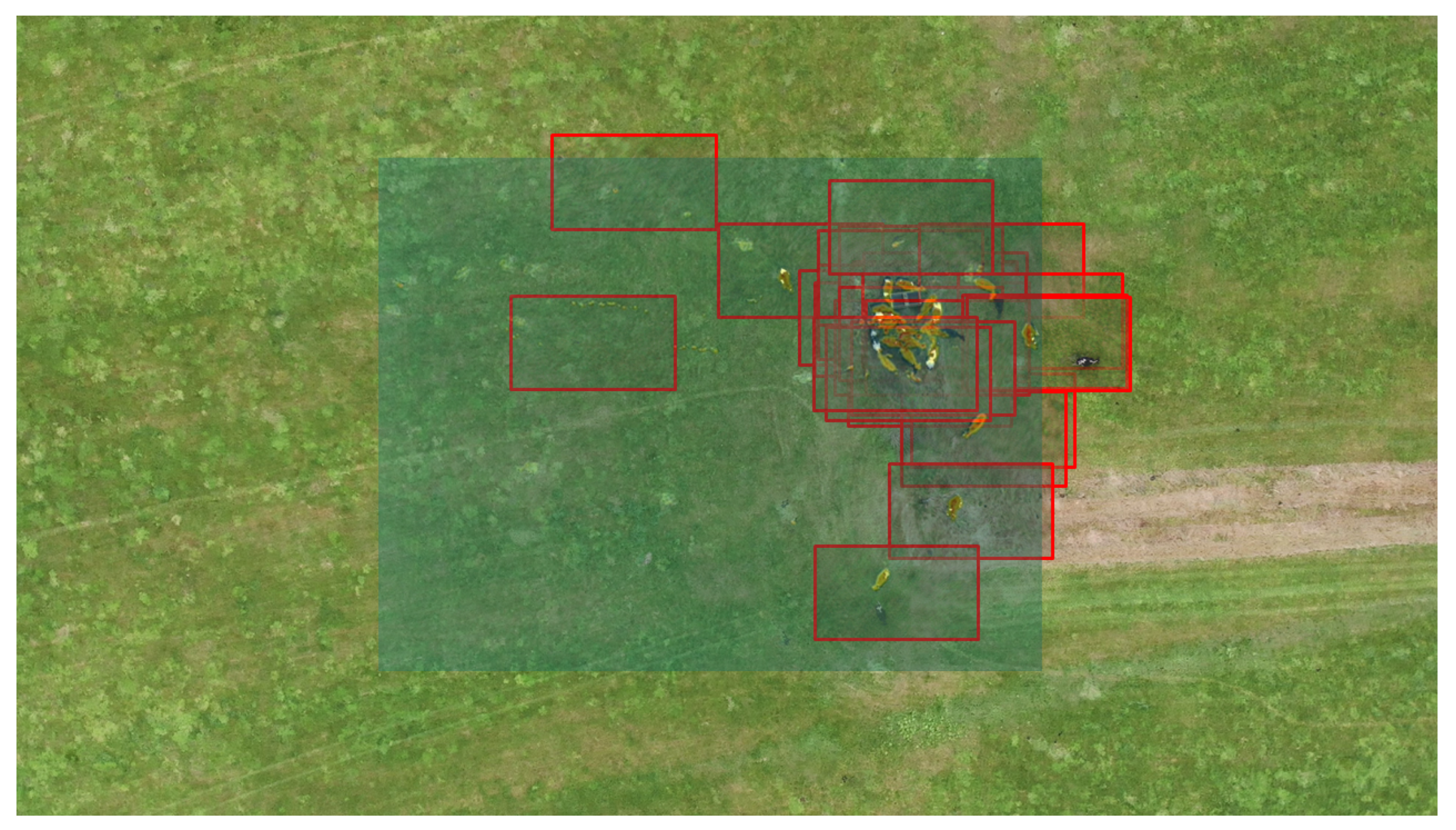 Remotesensing 17 00879 g009