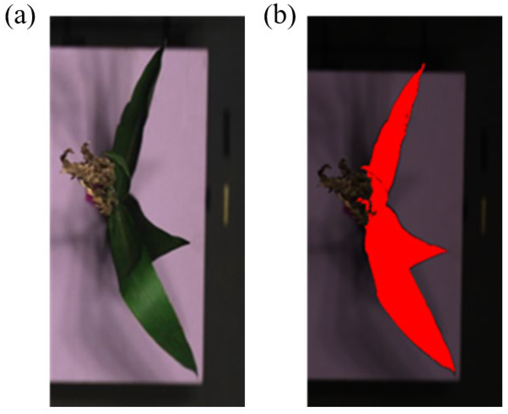 Remotesensing 17 00895 g006