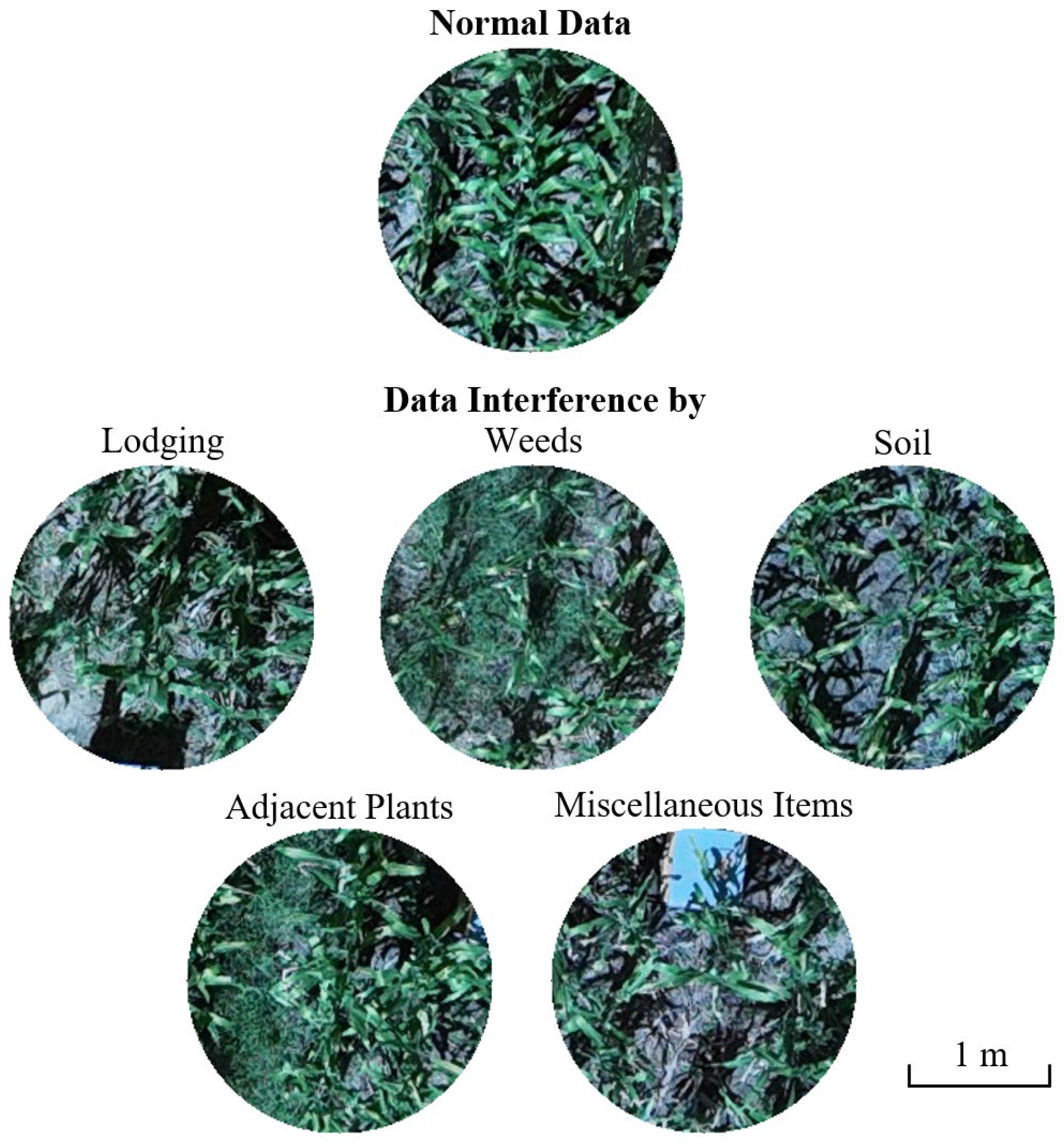 Remotesensing 17 00895 g007