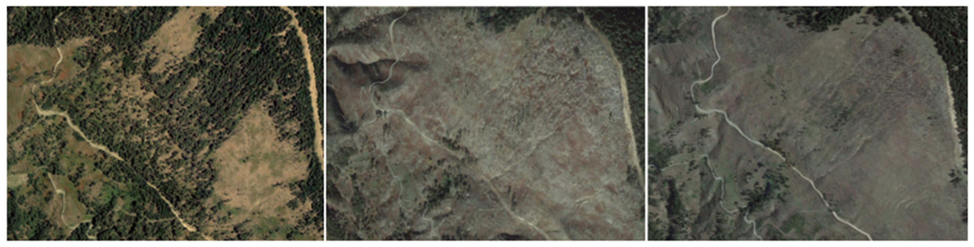 Remotesensing 17 00897 g009