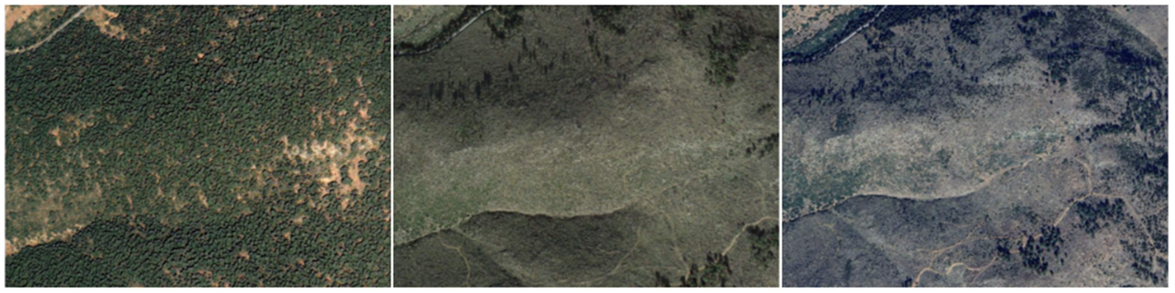 Remotesensing 17 00897 g010