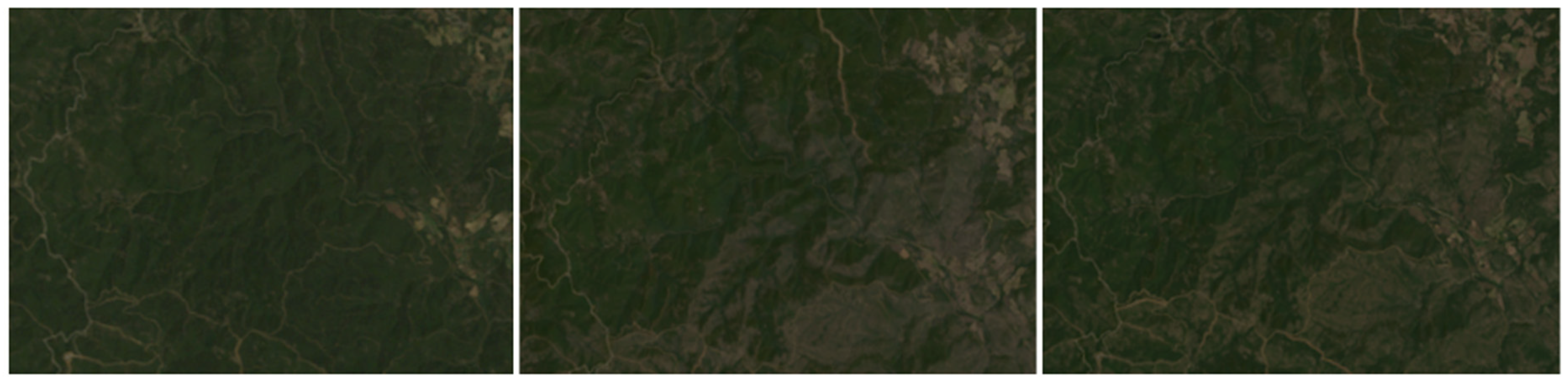 Remotesensing 17 00897 g011