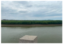 Remotesensing 17 00898 i007