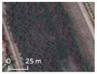 Remotesensing 17 00898 i010