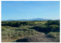 Remotesensing 17 00898 i011