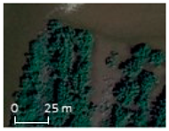 Remotesensing 17 00898 i014