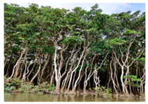 Remotesensing 17 00898 i017