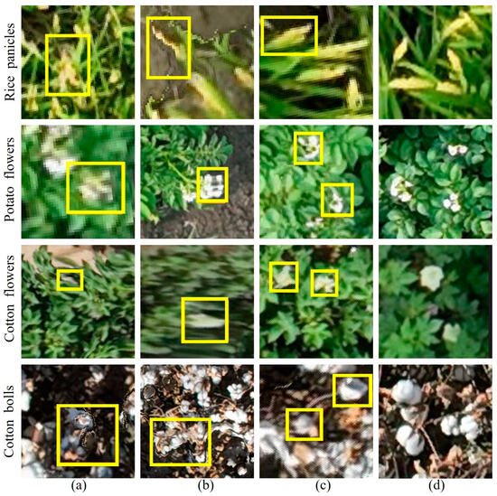 Remotesensing 17 00906 g001