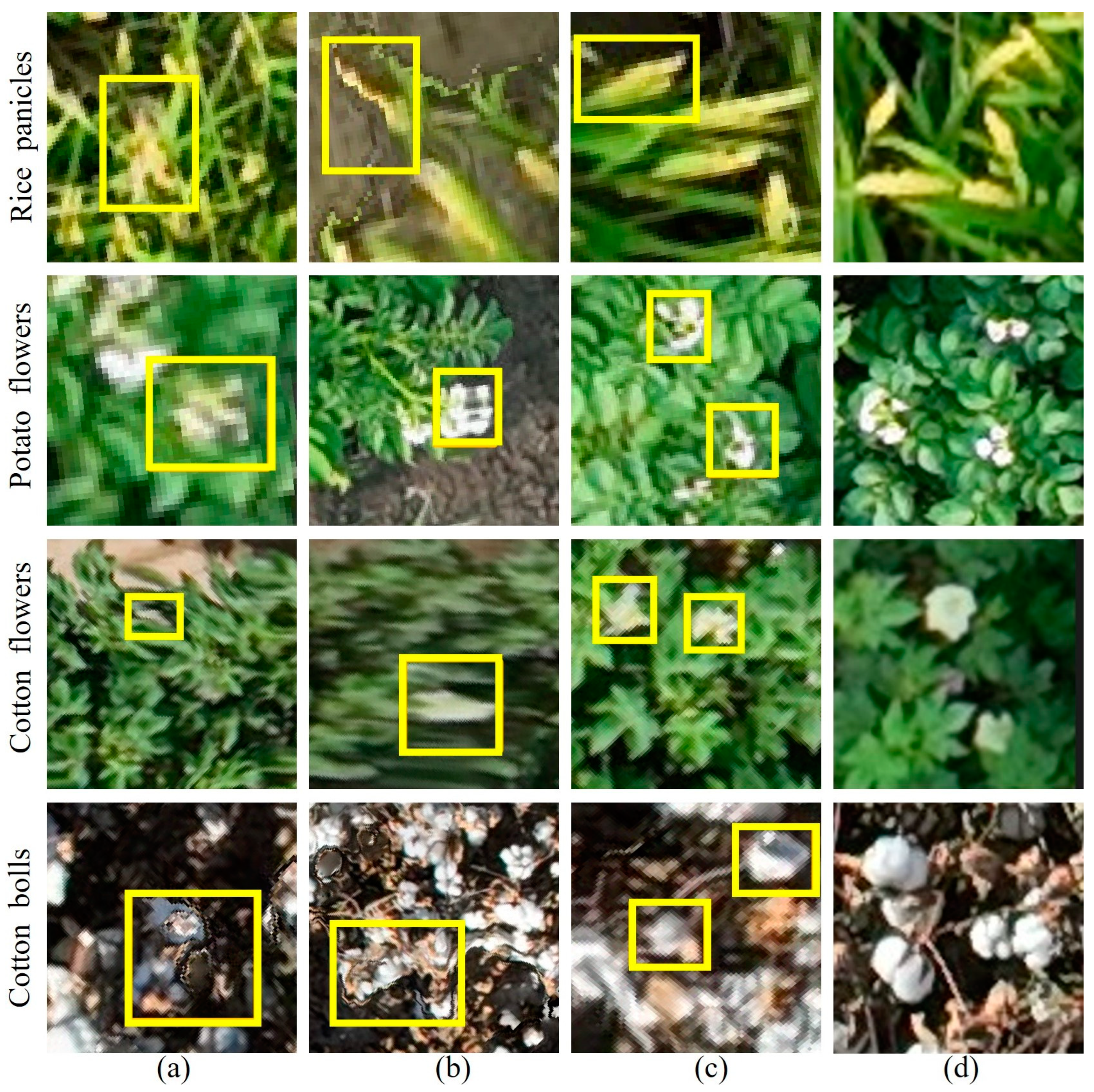 Remotesensing 17 00906 g001