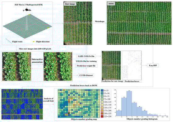 Remotesensing 17 00906 g002
