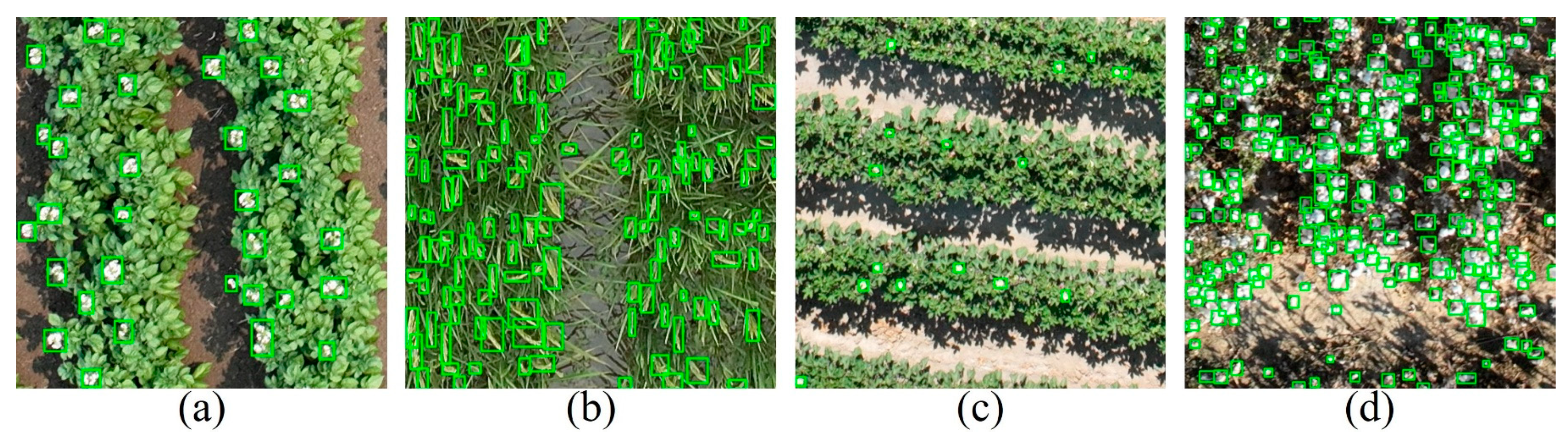 Remotesensing 17 00906 g005