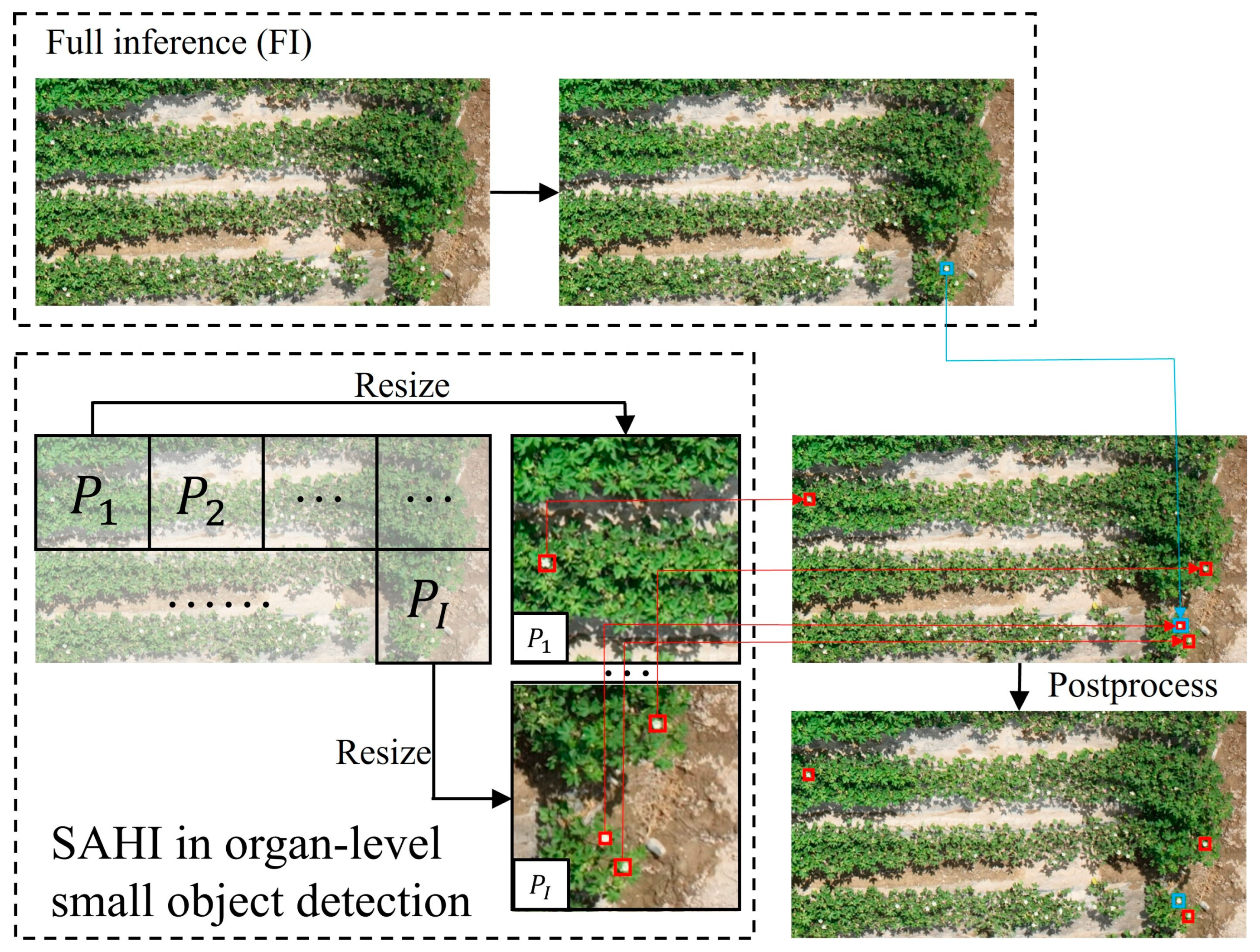 Remotesensing 17 00906 g006