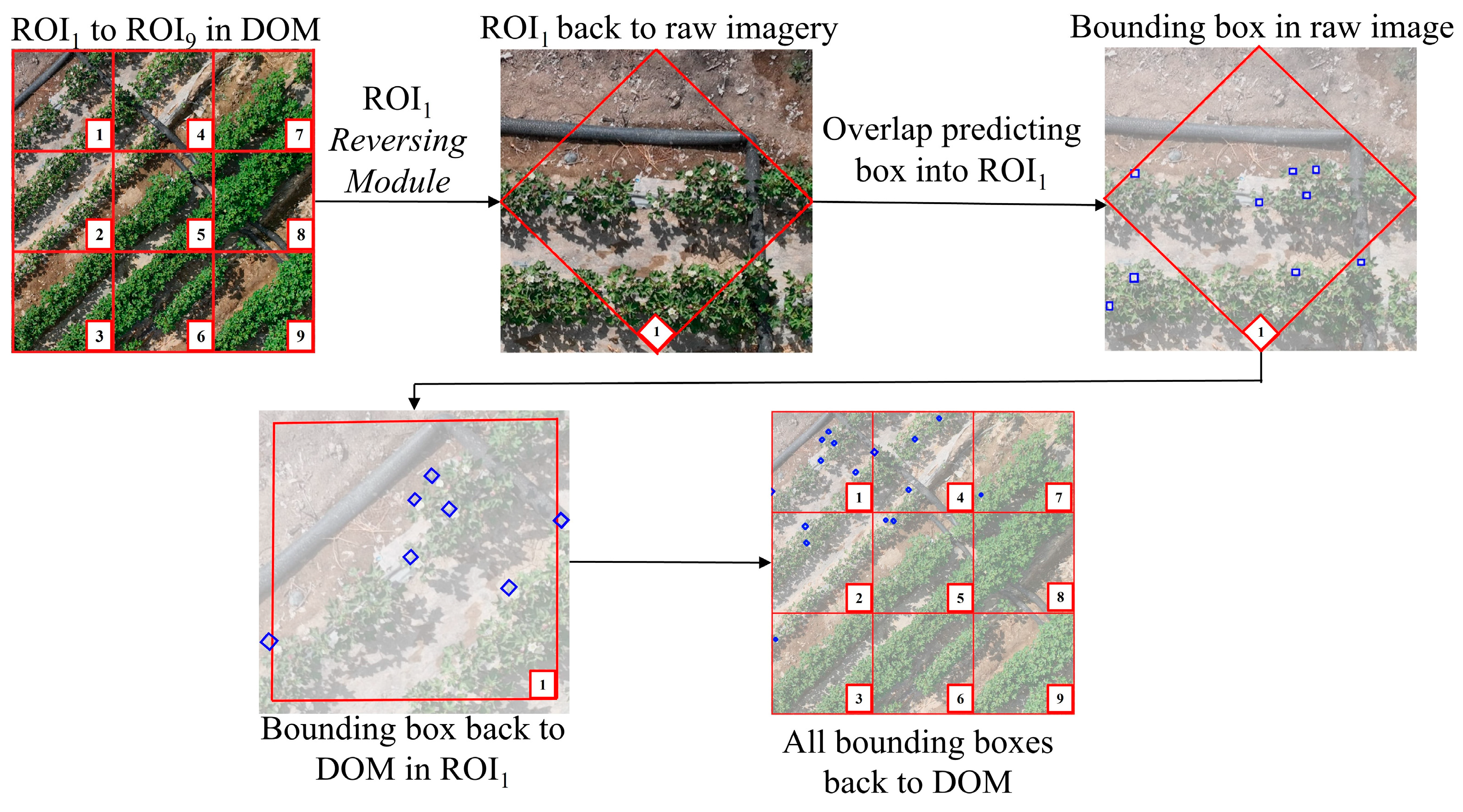 Remotesensing 17 00906 g007