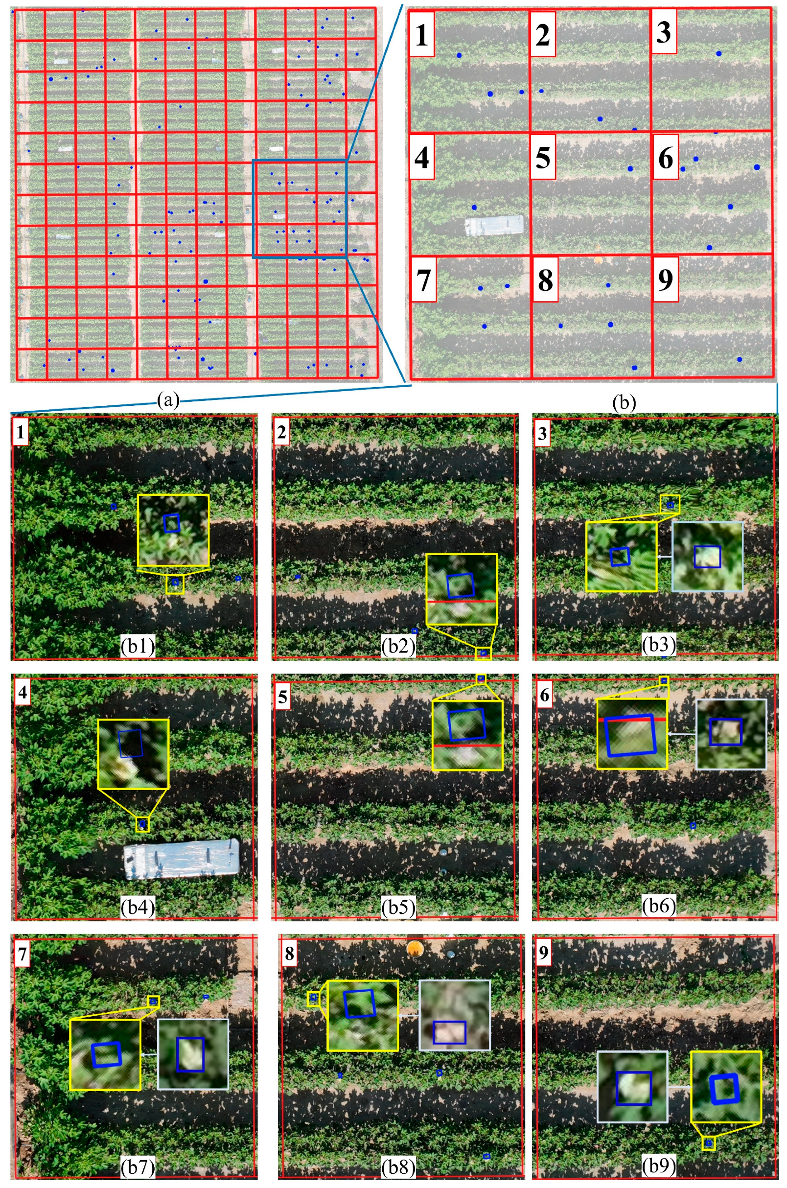 Remotesensing 17 00906 g010