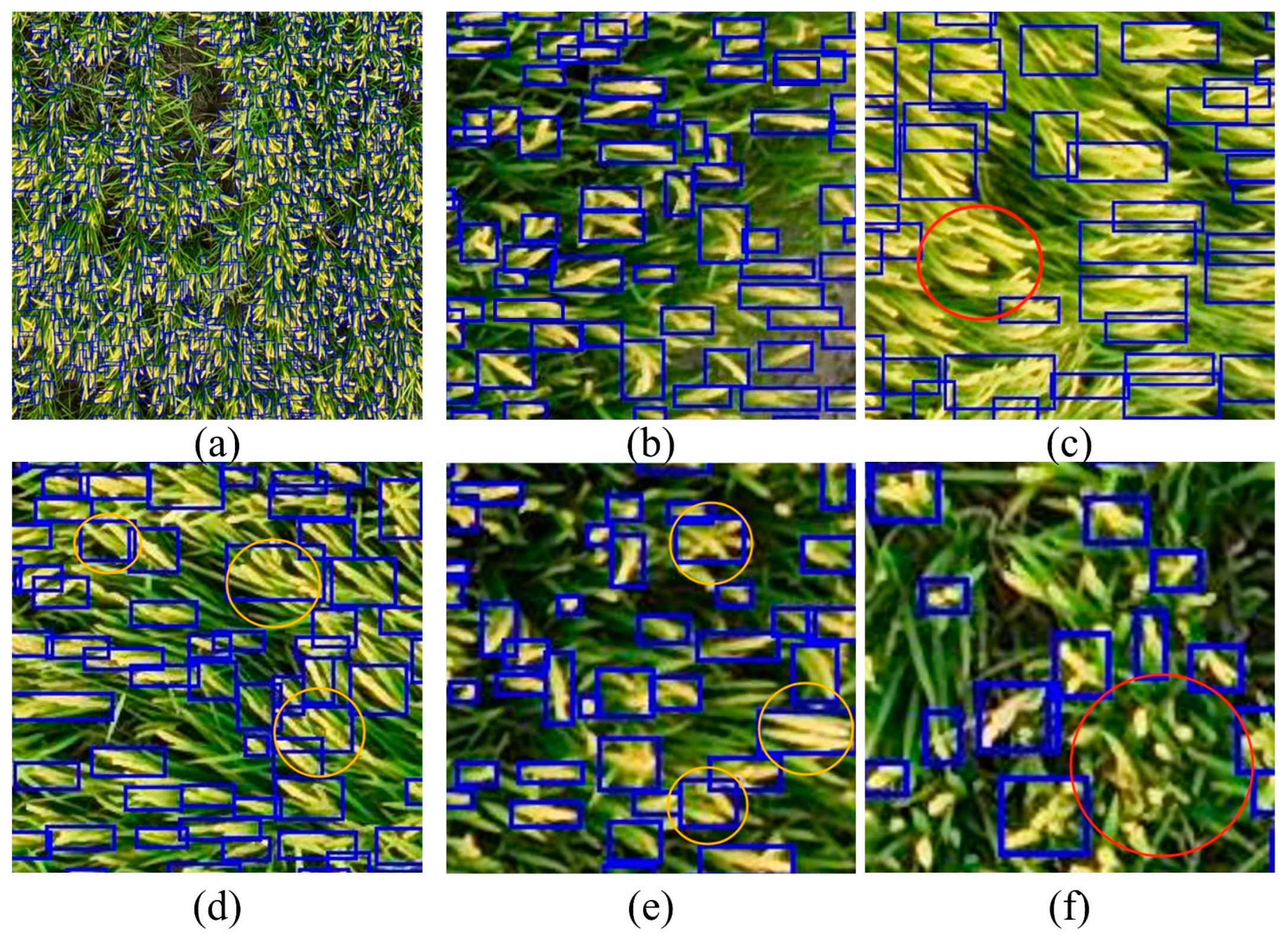 Remotesensing 17 00906 g015