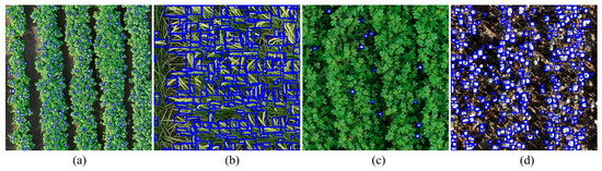 Remotesensing 17 00906 g0a2