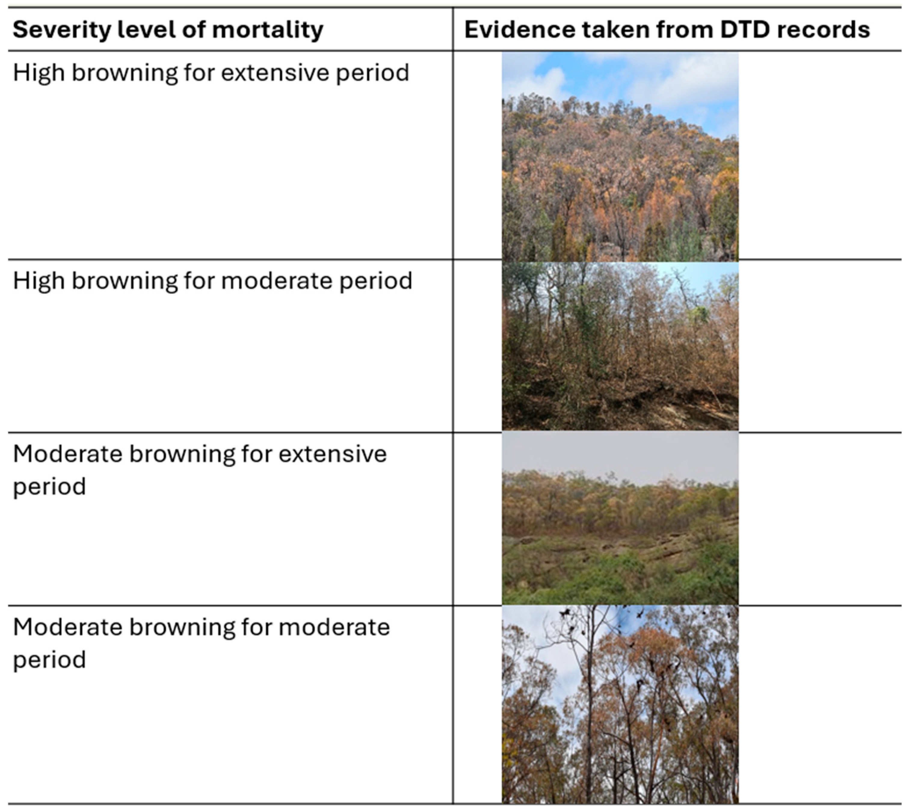 Remotesensing 17 00910 g007