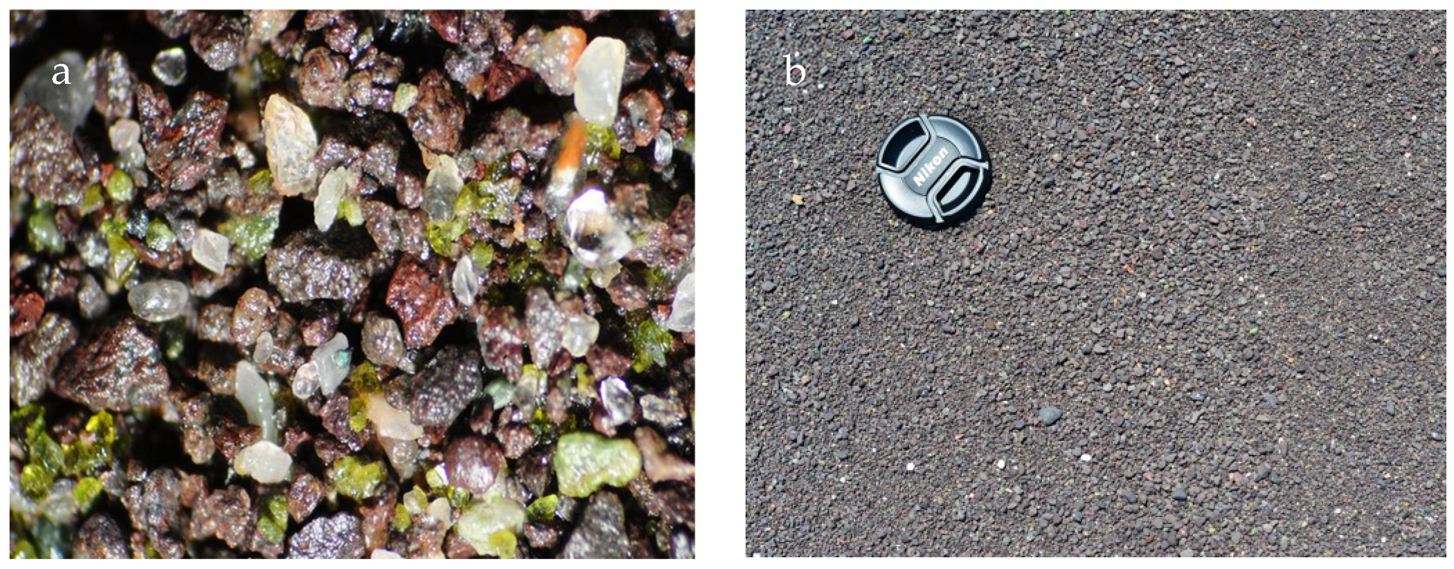 Remotesensing 17 00922 g003