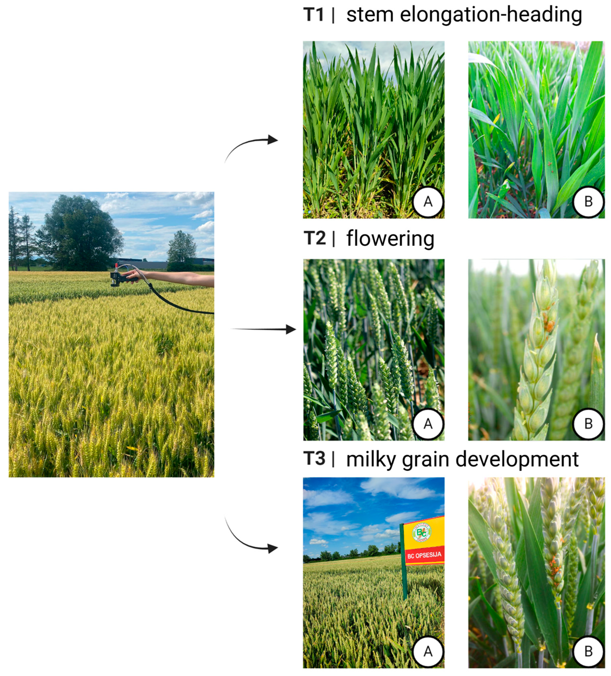 Remotesensing 17 00929 g002