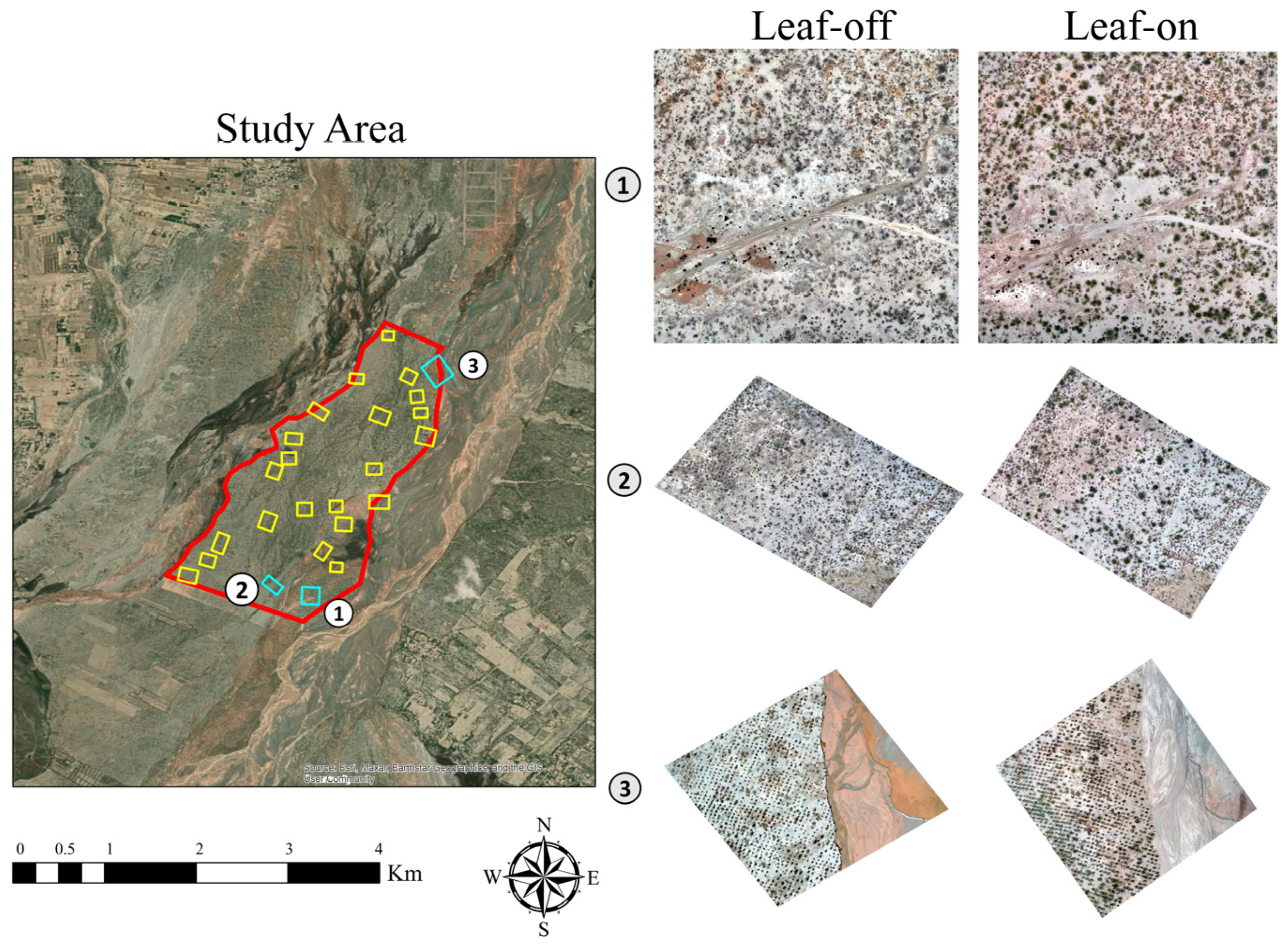 Remotesensing 17 00949 g002