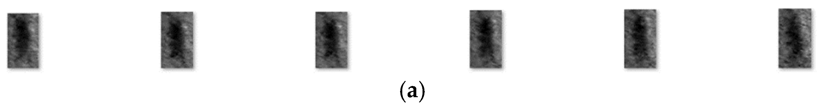 Remotesensing 17 00959 g006a