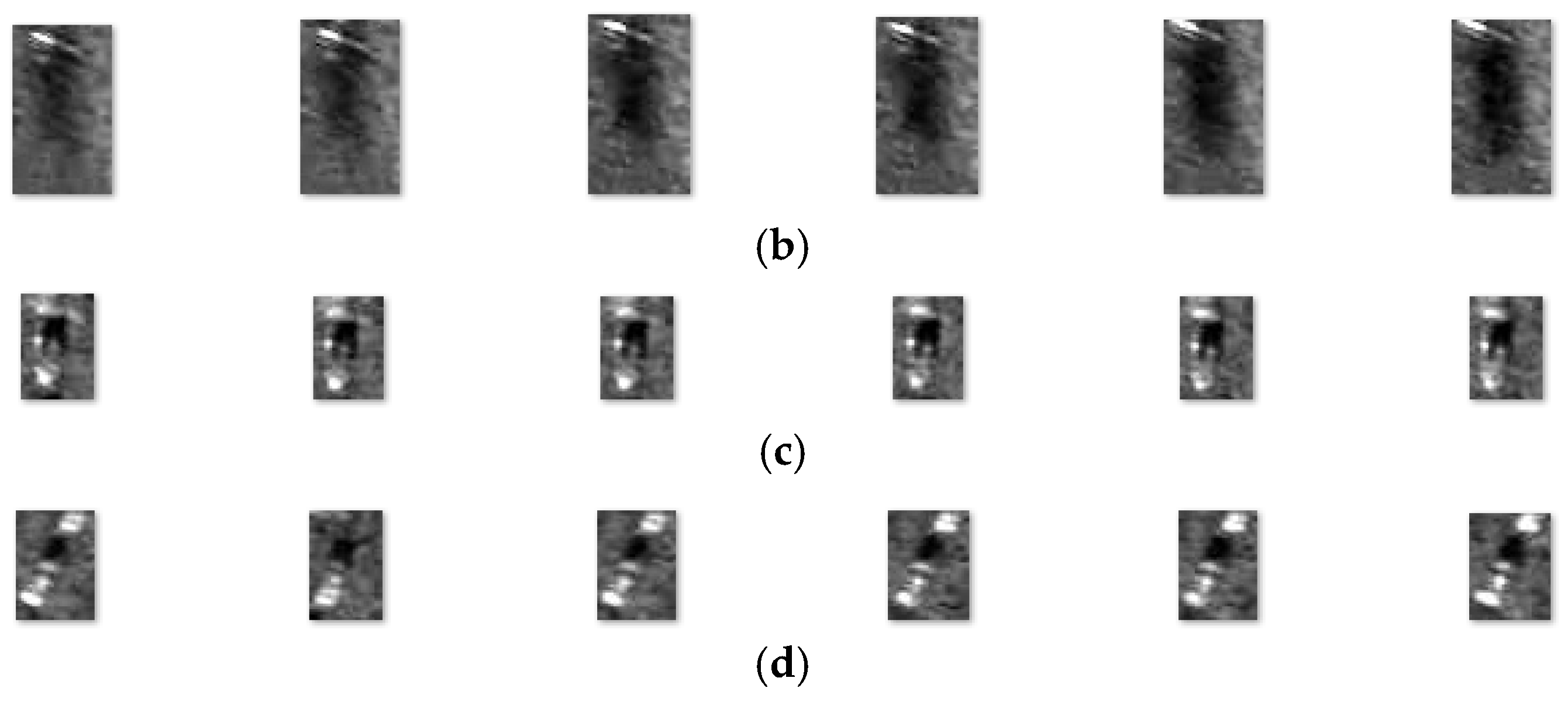 Remotesensing 17 00959 g006b