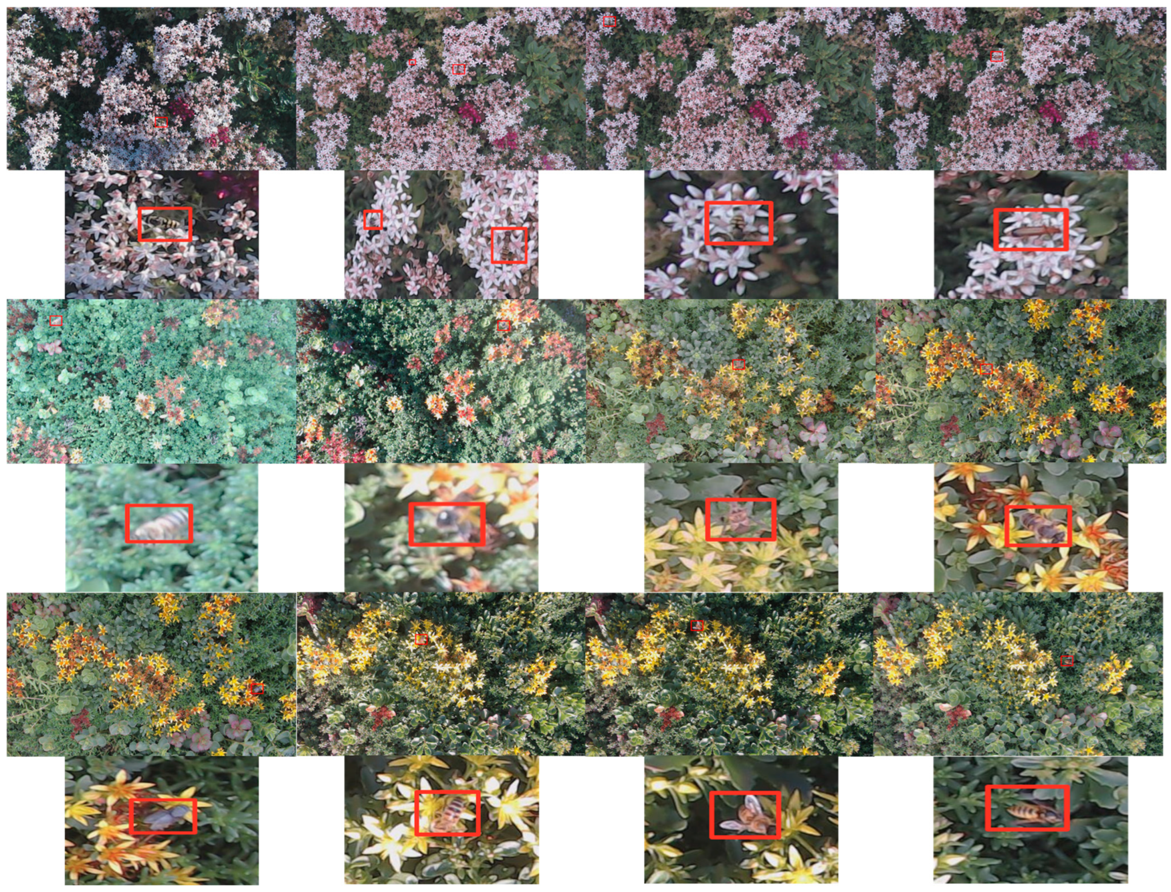 Remotesensing 17 00962 g004