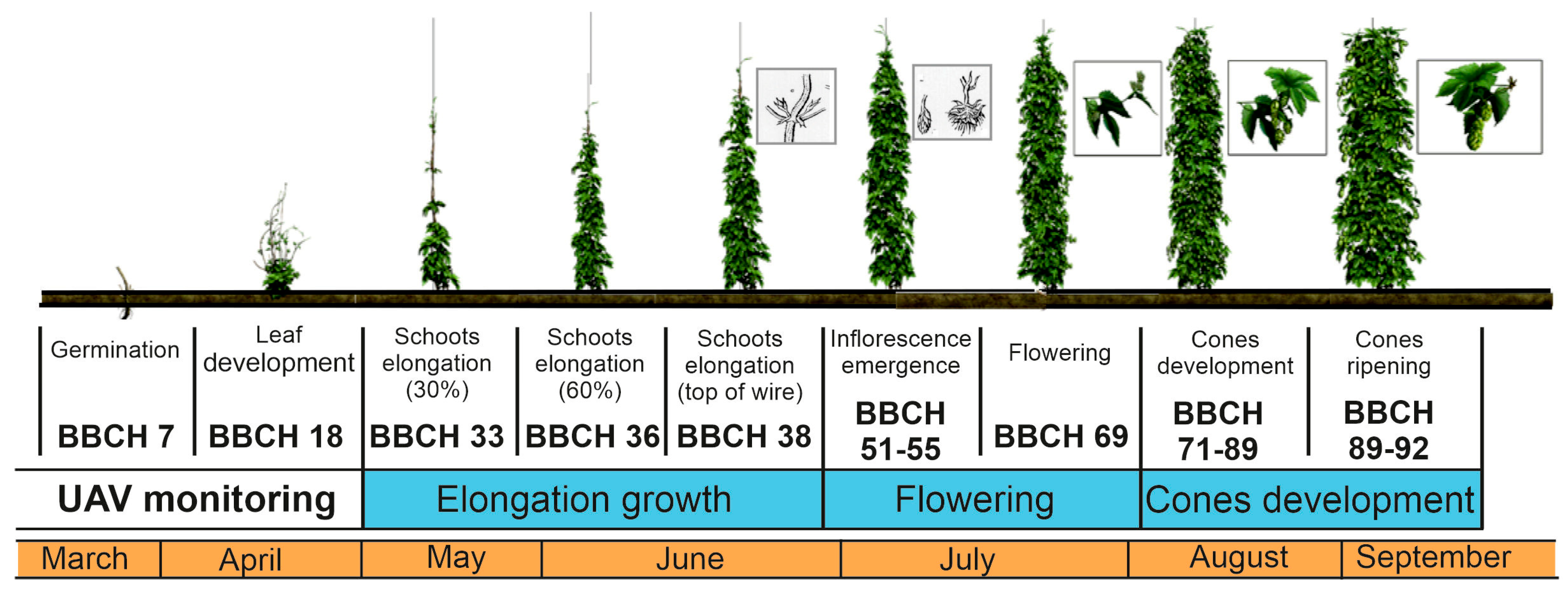 Remotesensing 17 00970 g003
