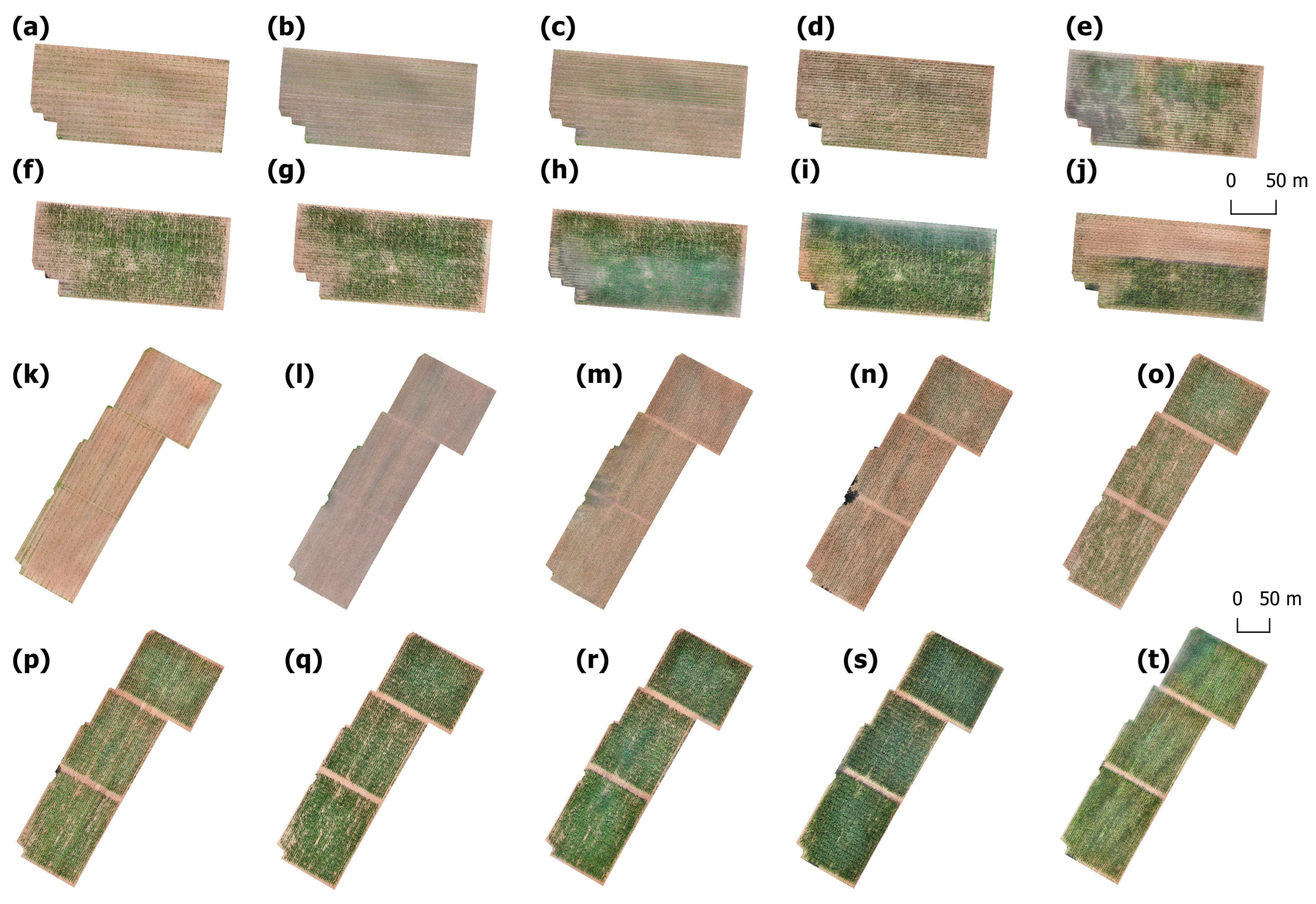 Remotesensing 17 00970 g004