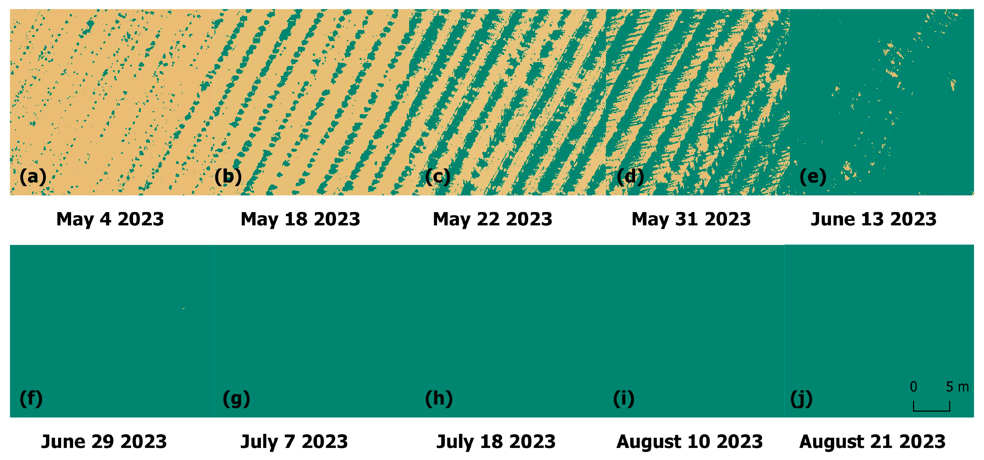 Remotesensing 17 00970 g005