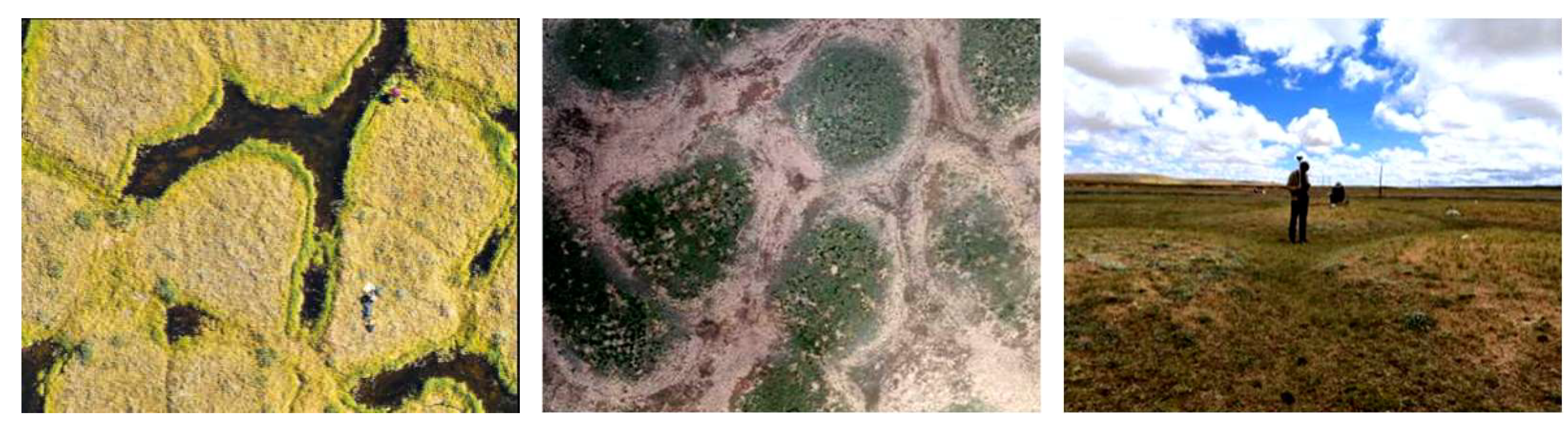 Remotesensing 17 01040 g002