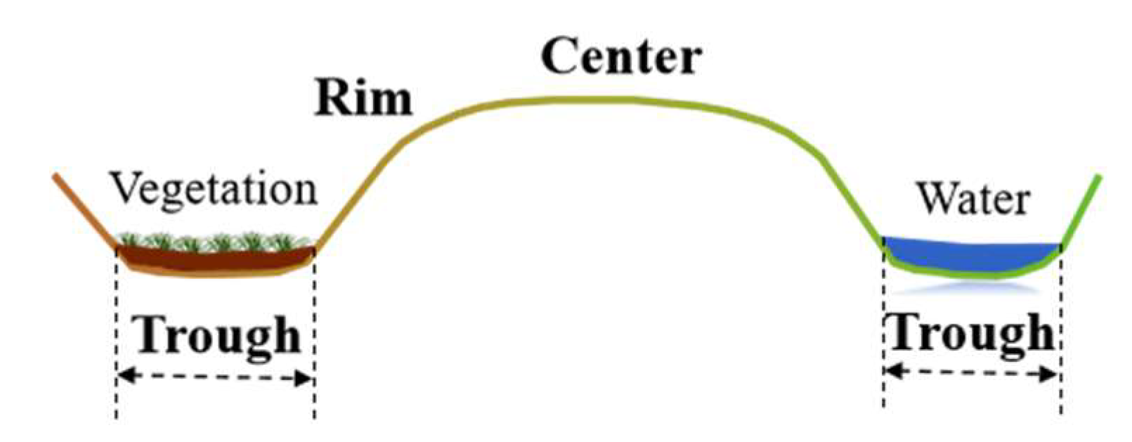 Remotesensing 17 01040 g008