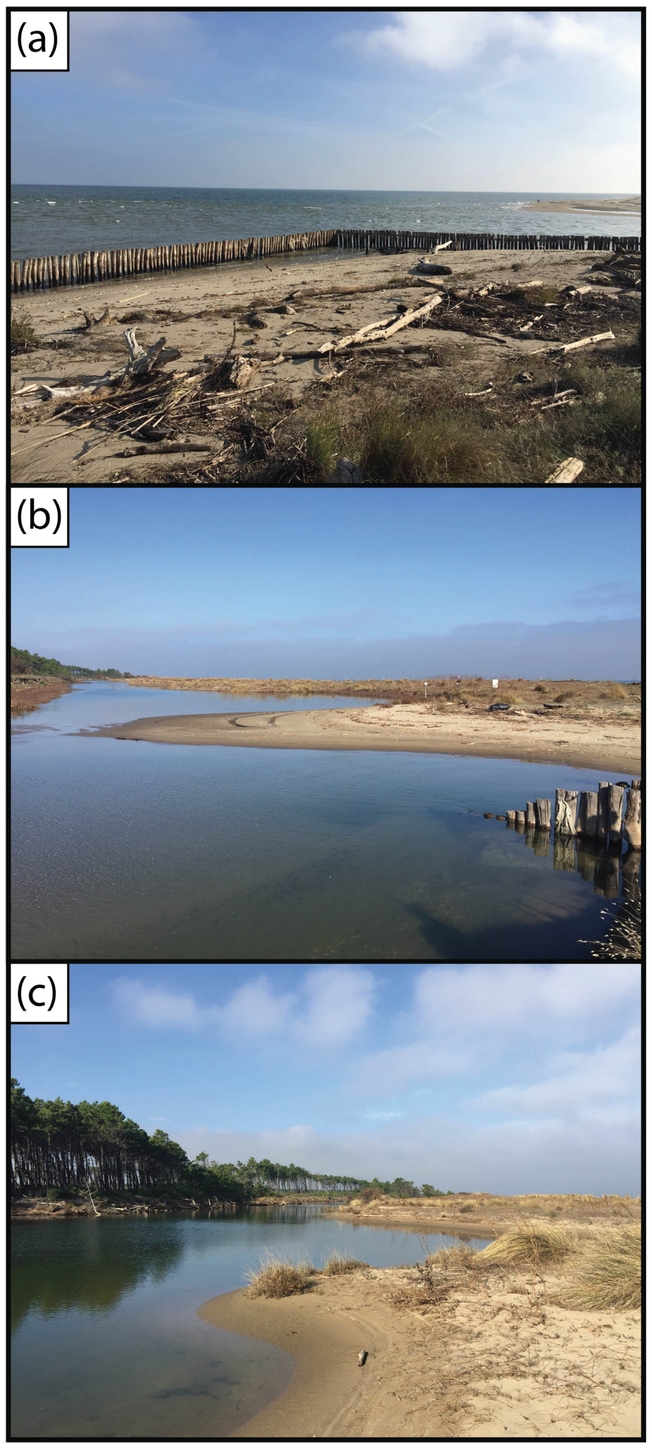 Remotesensing 17 01072 g004