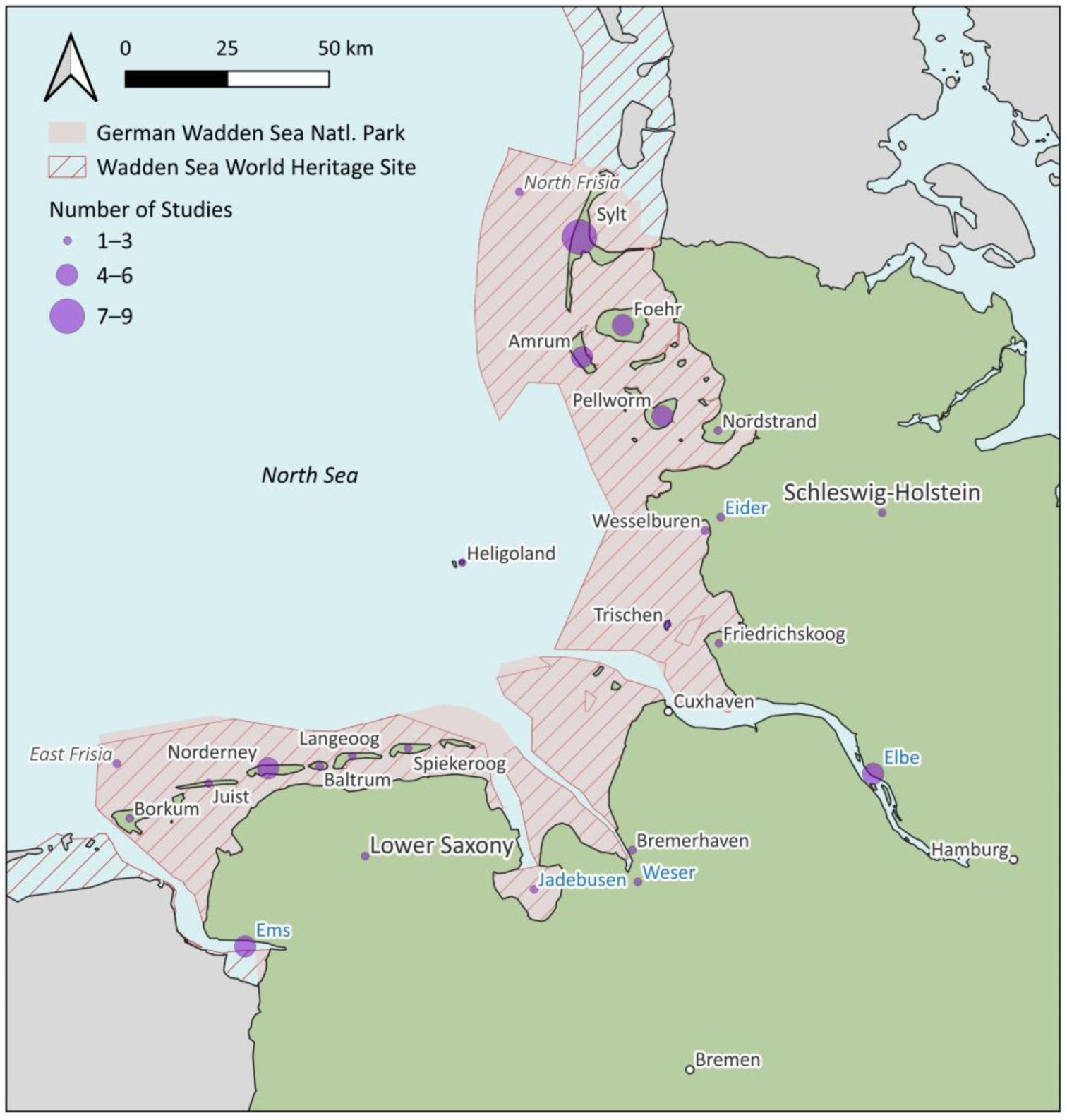 Remotesensing 17 01073 g011