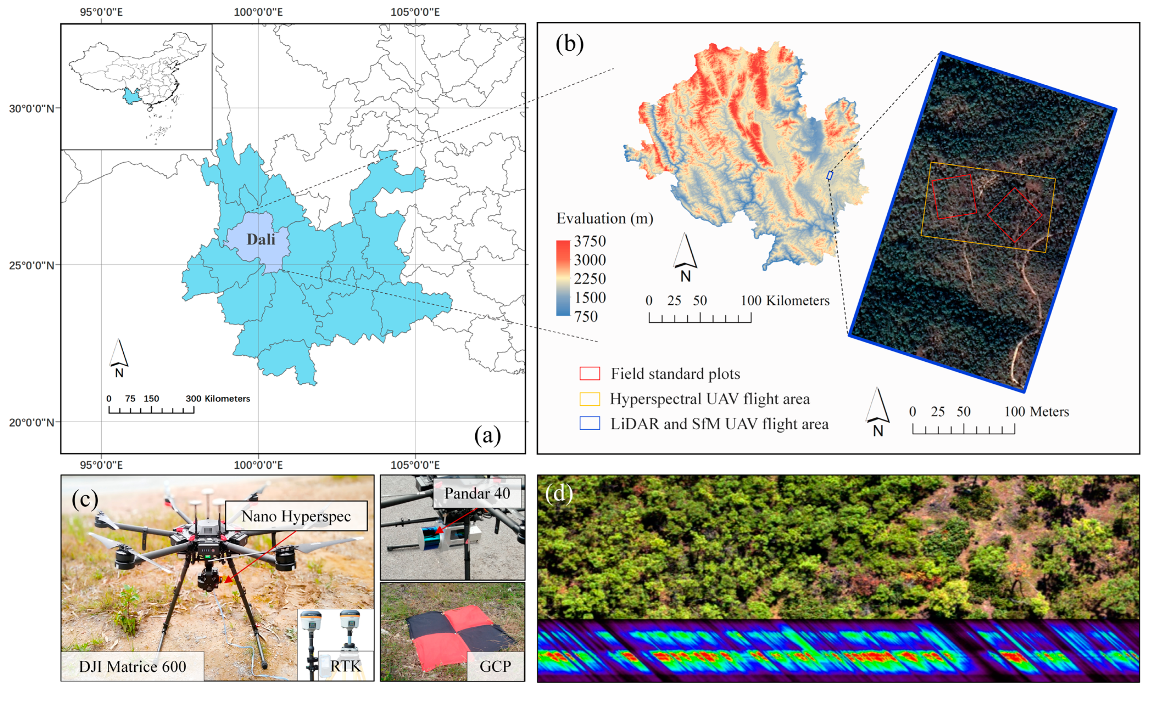 Remotesensing 17 01109 g002