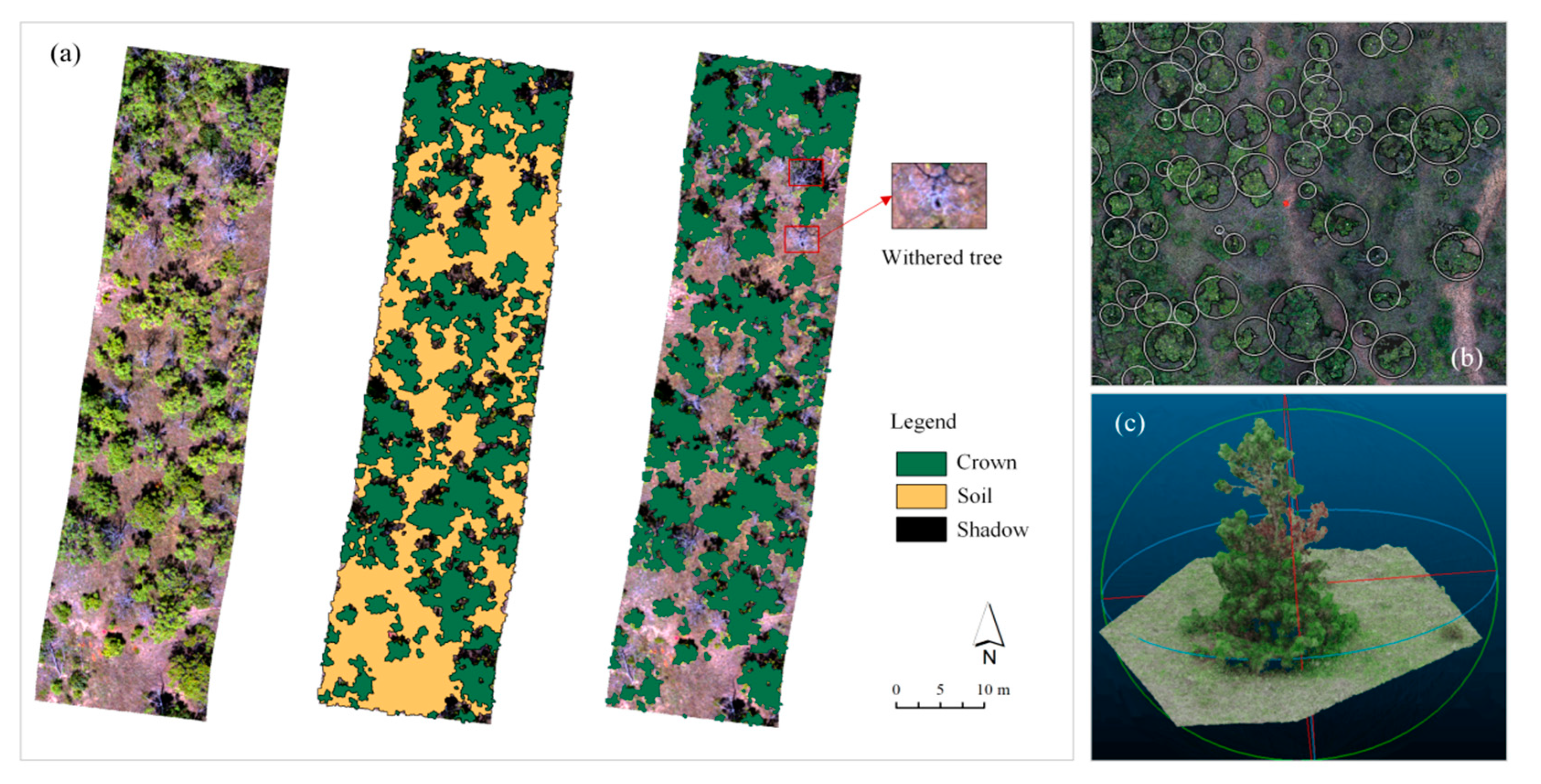 Remotesensing 17 01109 g004